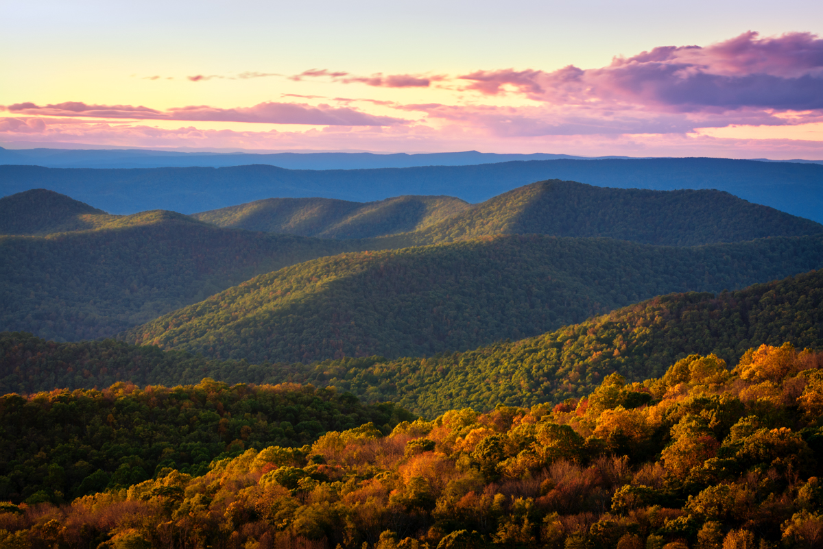 6 Reasons Why You Should Use a Telephoto Lens for