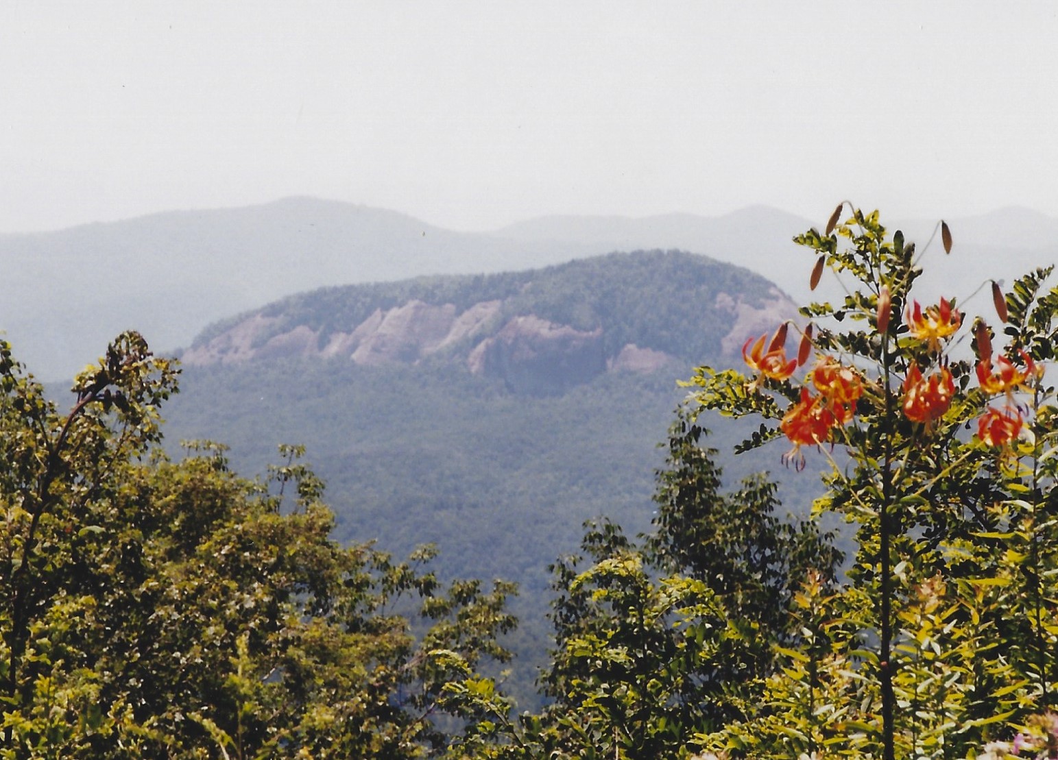 Drive the Forest Heritage National Scenic Byway, Pisgah Forest, North