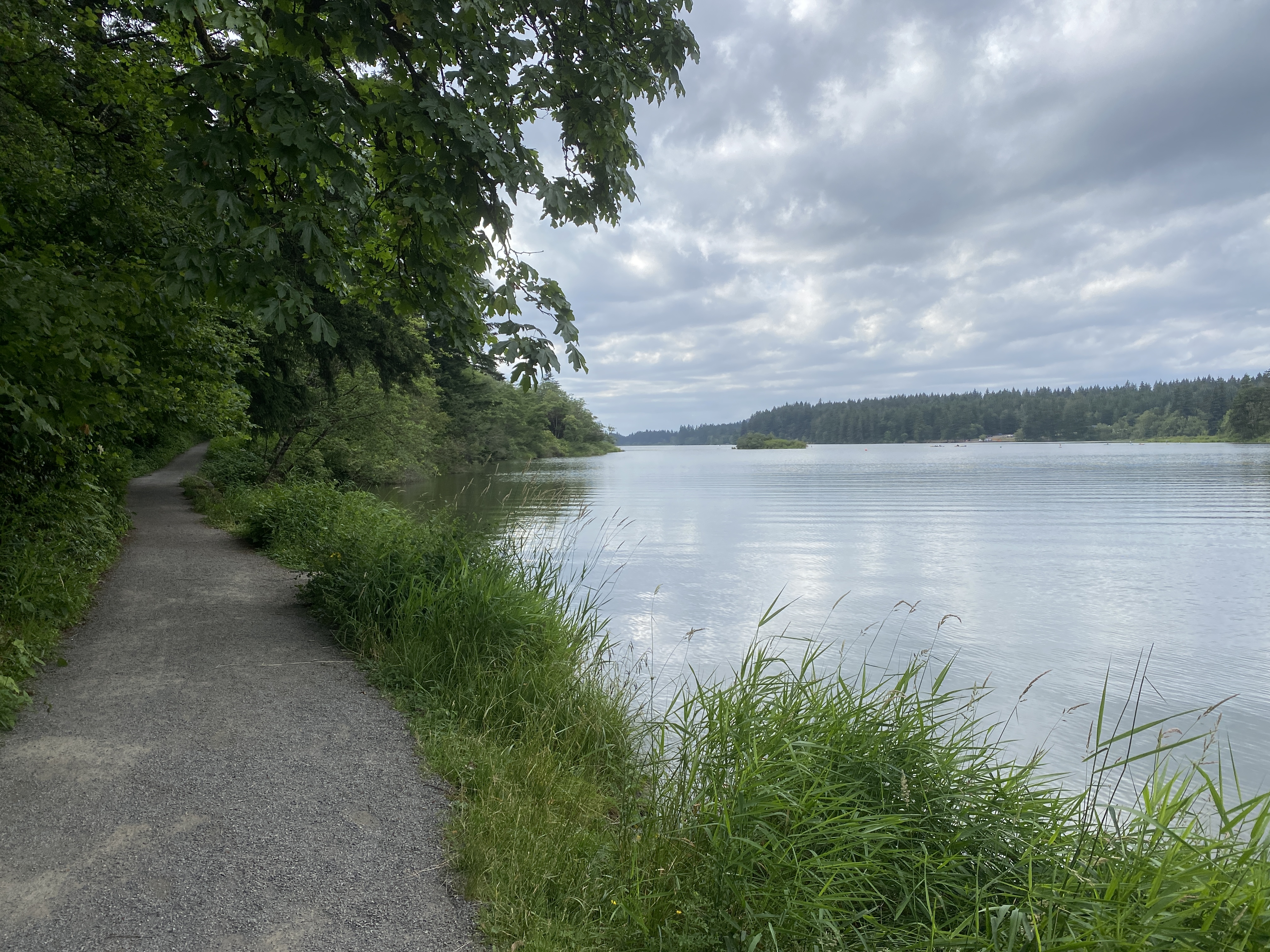 Hike Lacamas Heritage Trail, Camas, Washington