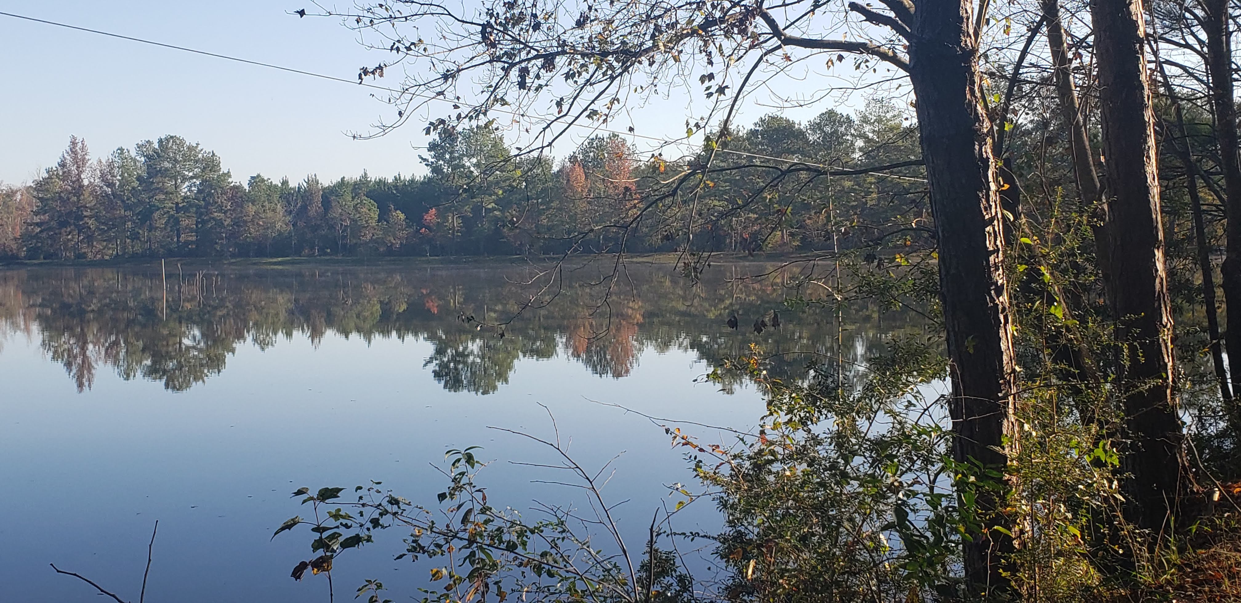 Lodging at Hattiesburg / Okatoma River KOA in 31.458441,89.421577