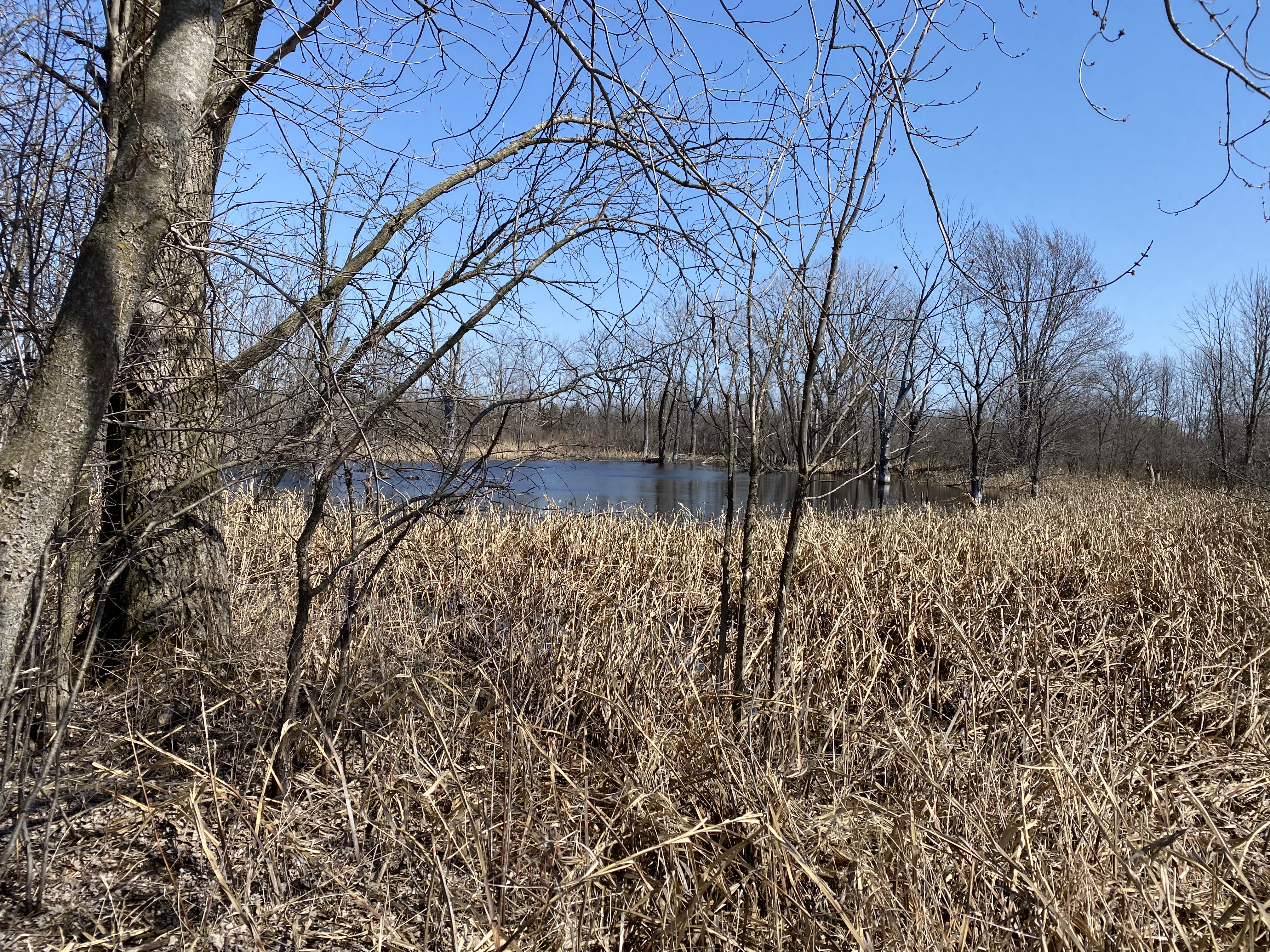 Herrick Lake Trail, Warrenville, Illinois