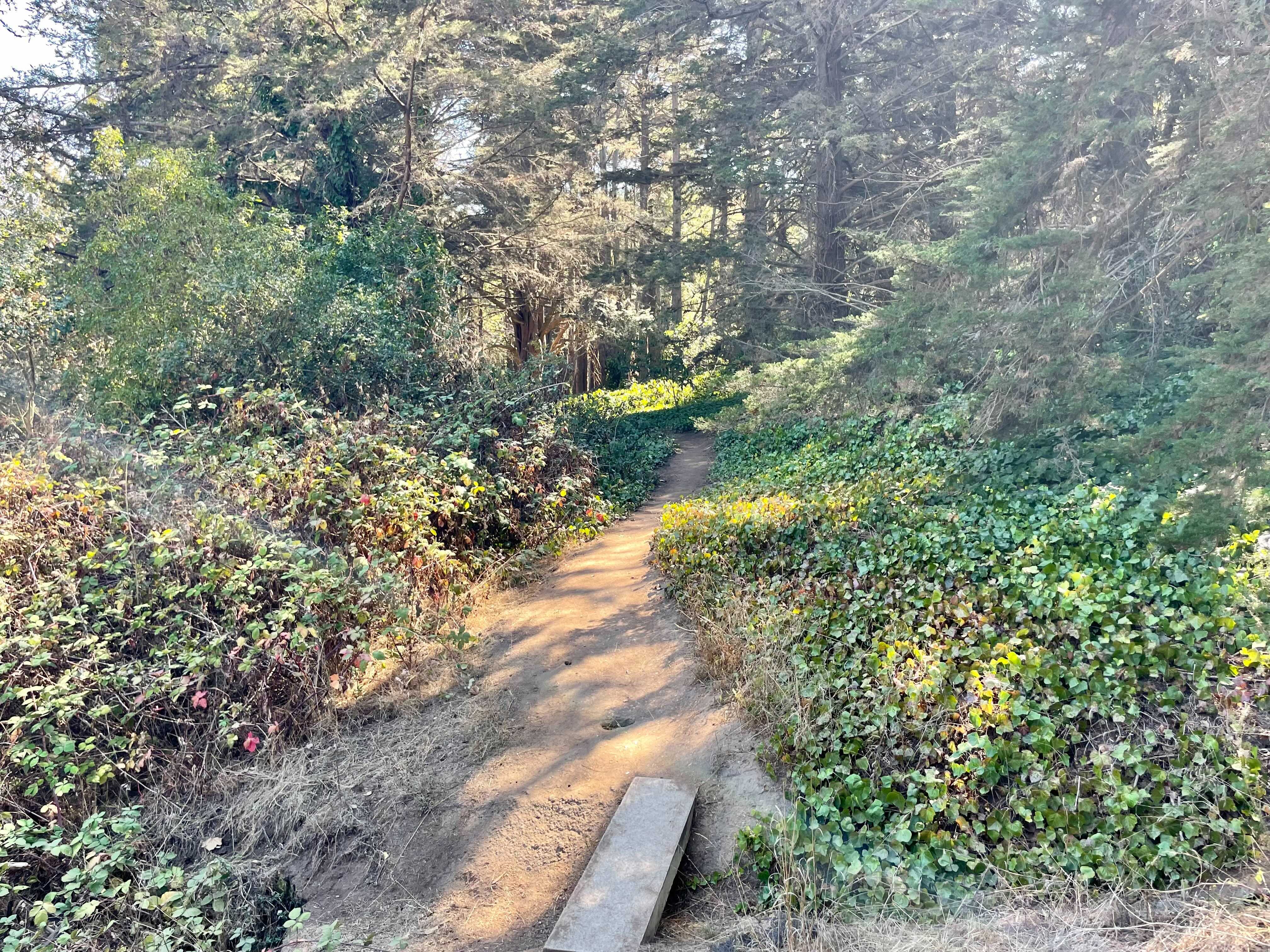 McLaren Park Philosopher's Way Loop, San Francisco, California