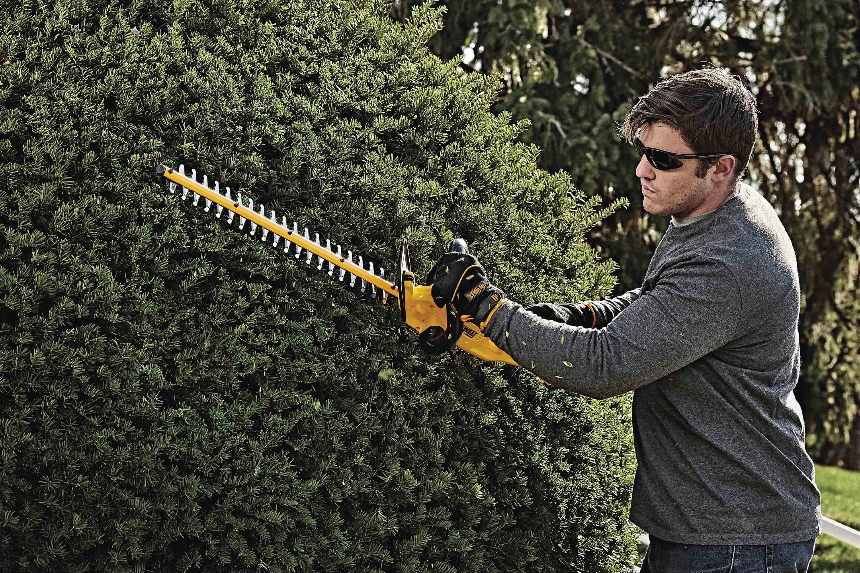 DeWALT® DCHT820P1 - 20 V 22" Cordless Electric Hedge Trimmer - TOOLSiD.com