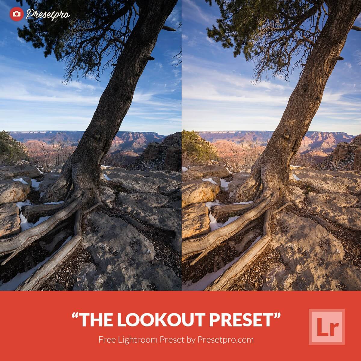38 presets Lightroom gratuits pour transformer l’ambiance de vos photos