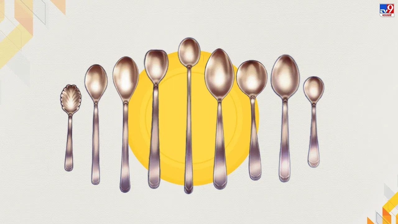 हर चम्मच का होता है अलगअलग काम... जानिए आइसक्रीम, मिठाई, सब्ज़ी की