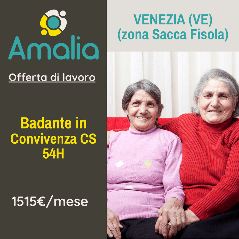 Offerta di lavoro badante in convivenza a Venezia 1515 €/mese