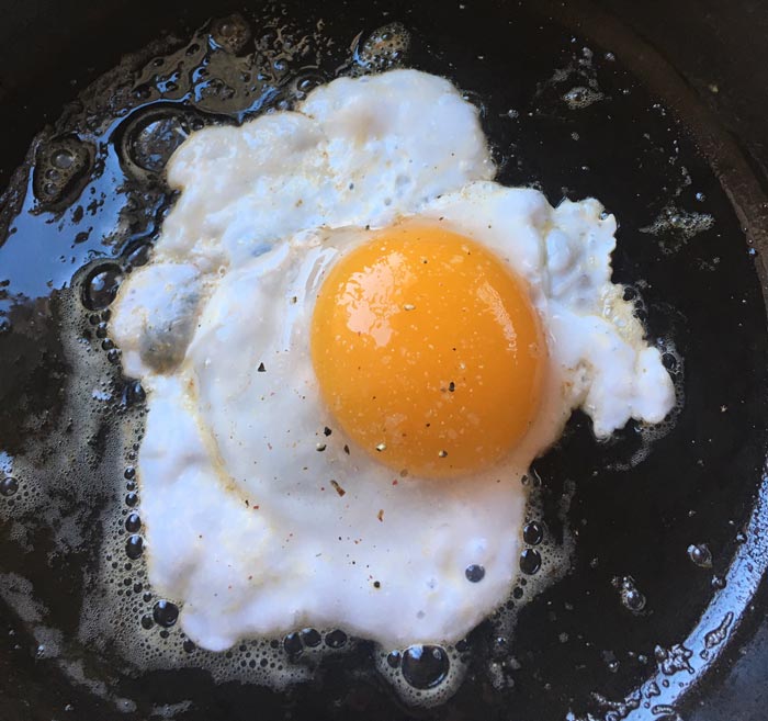 Duck eggs vs. chicken eggs how do they compare? Tyrant Farms