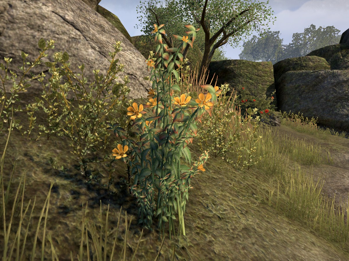 OnlineJute The Unofficial Elder Scrolls Pages (UESP)