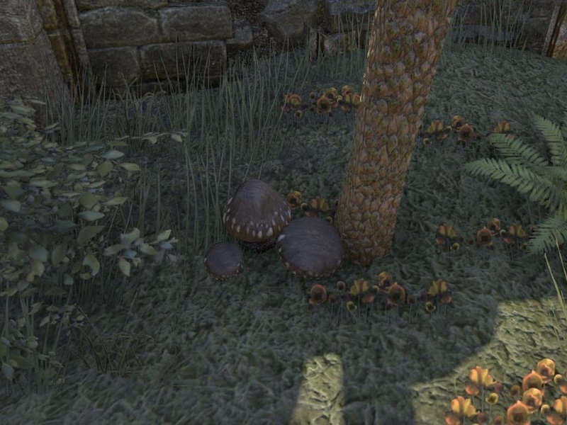 OnlineLuminous Russula The Unofficial Elder Scrolls Pages (UESP)
