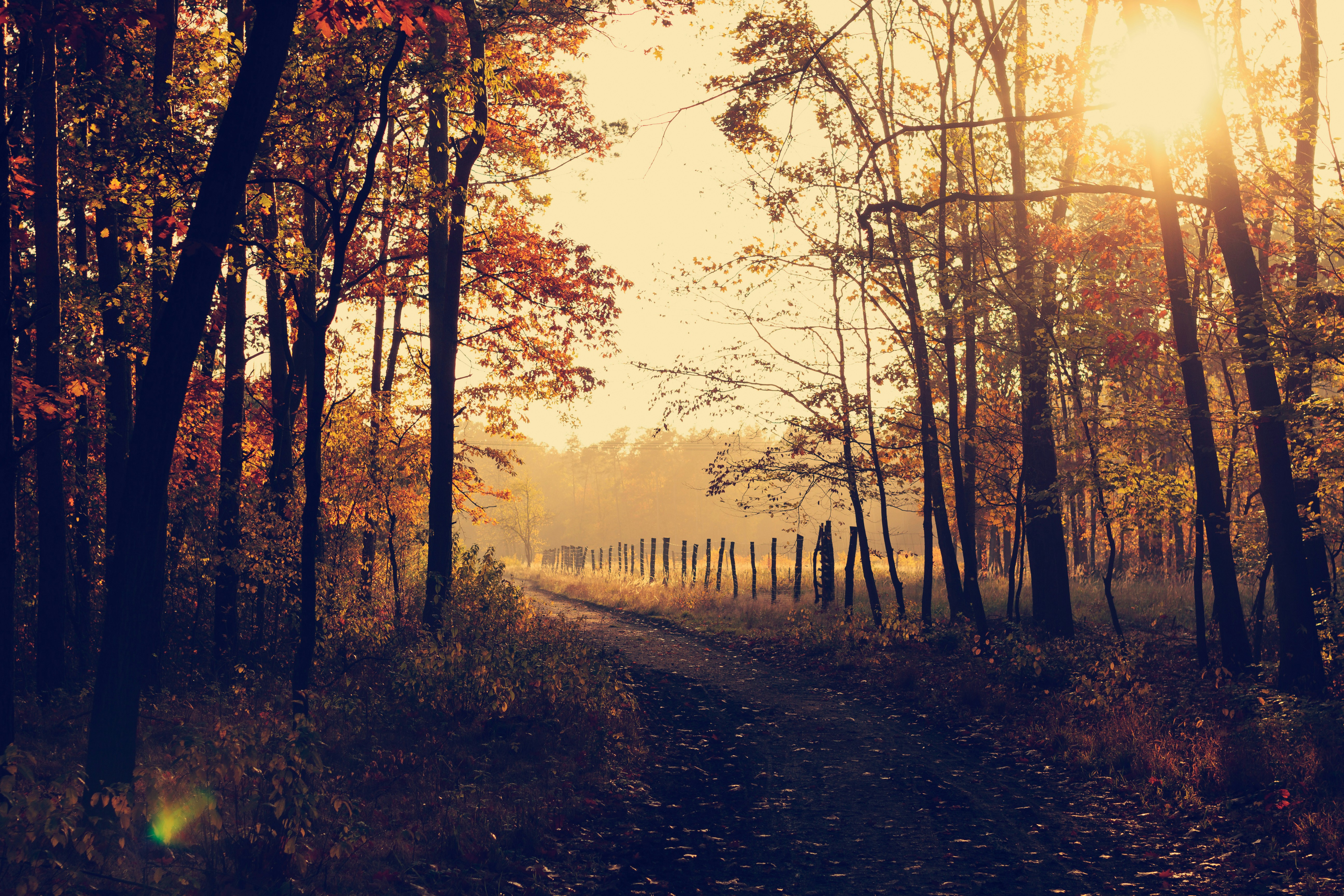 Taking It Indoors: How Cyclists Can Make a Smooth Training Switch in Autumn