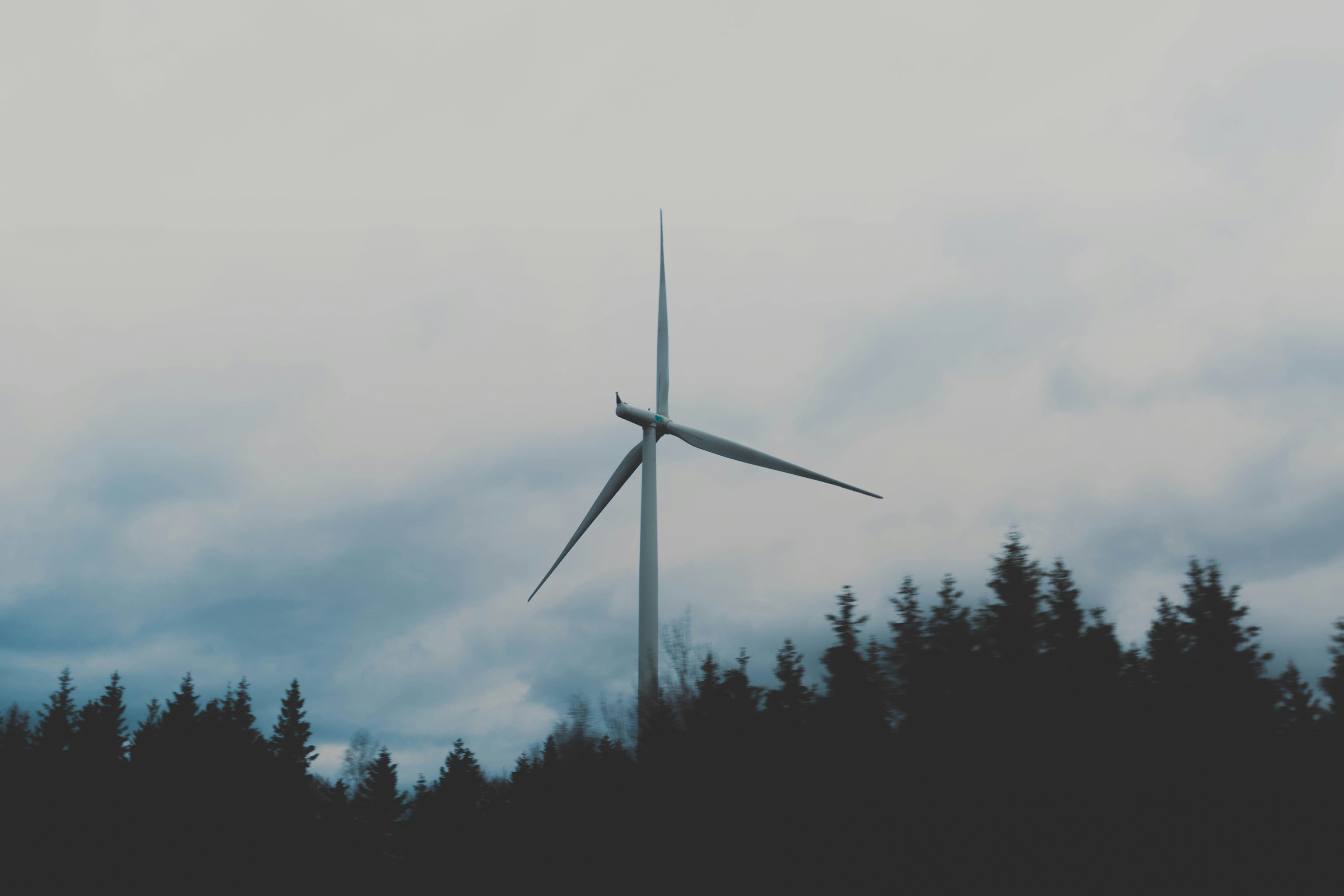 Building a Mini Wind Turbine at Home