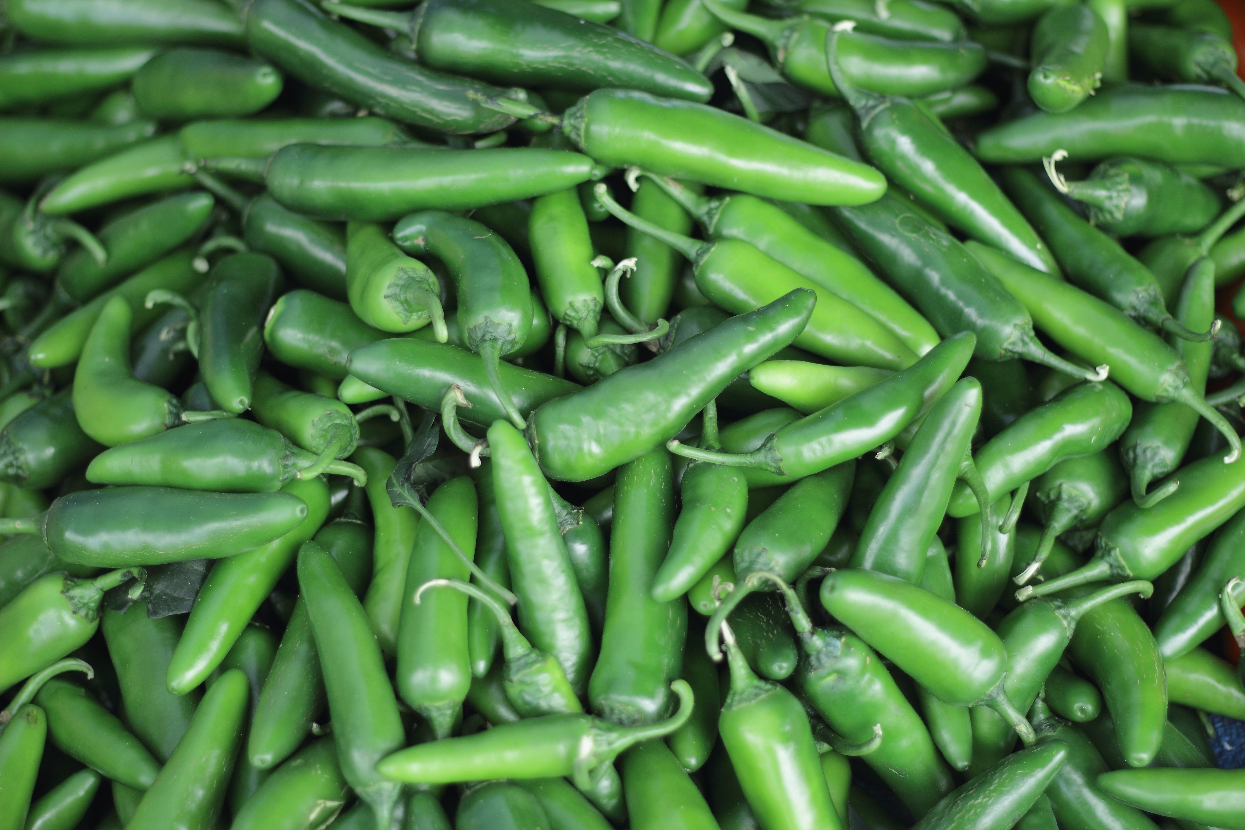 Green Chilli Pictures Download Free Images on Unsplash