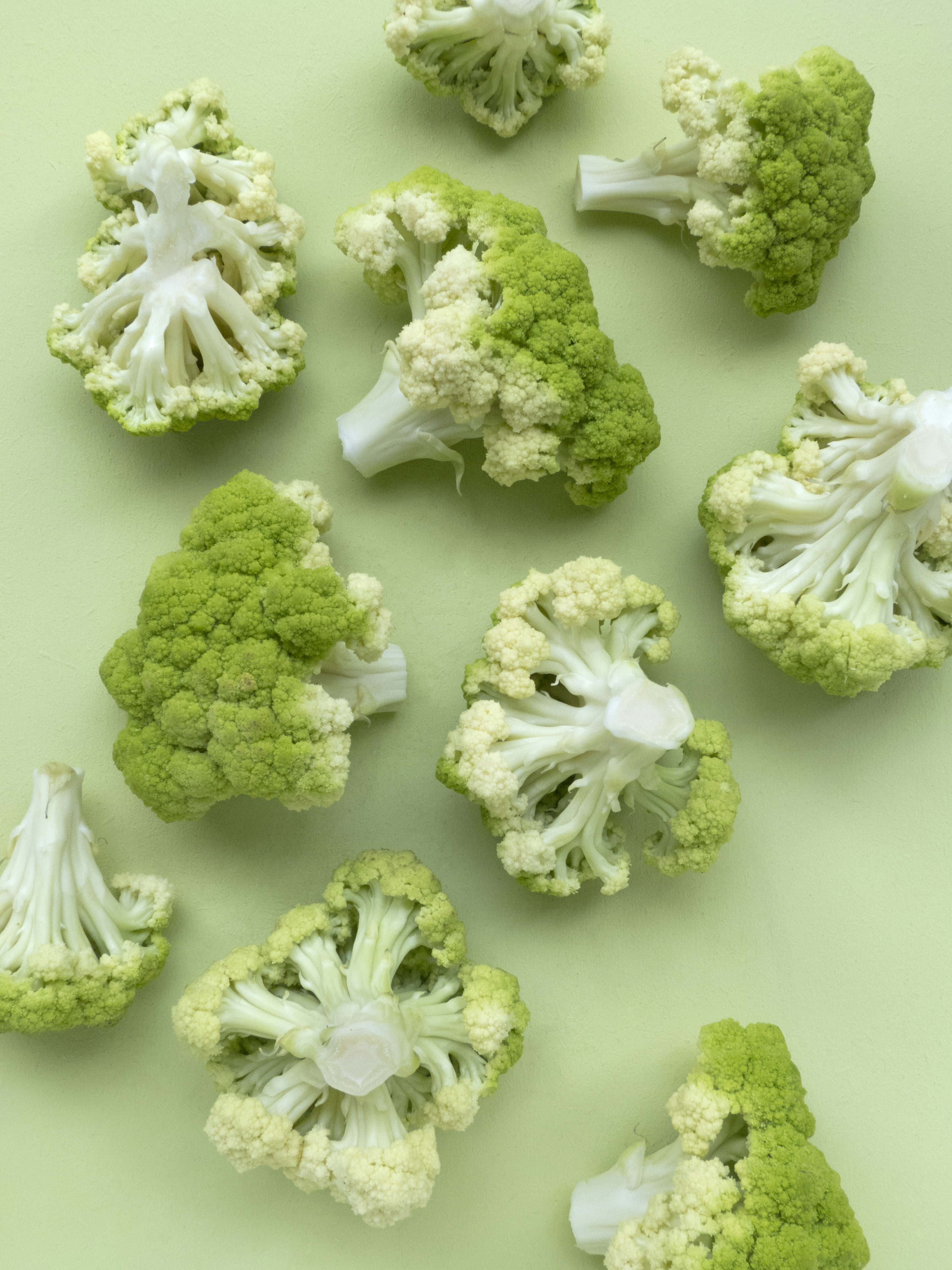 How To Grow Broccoli Fall Season Growing Guide