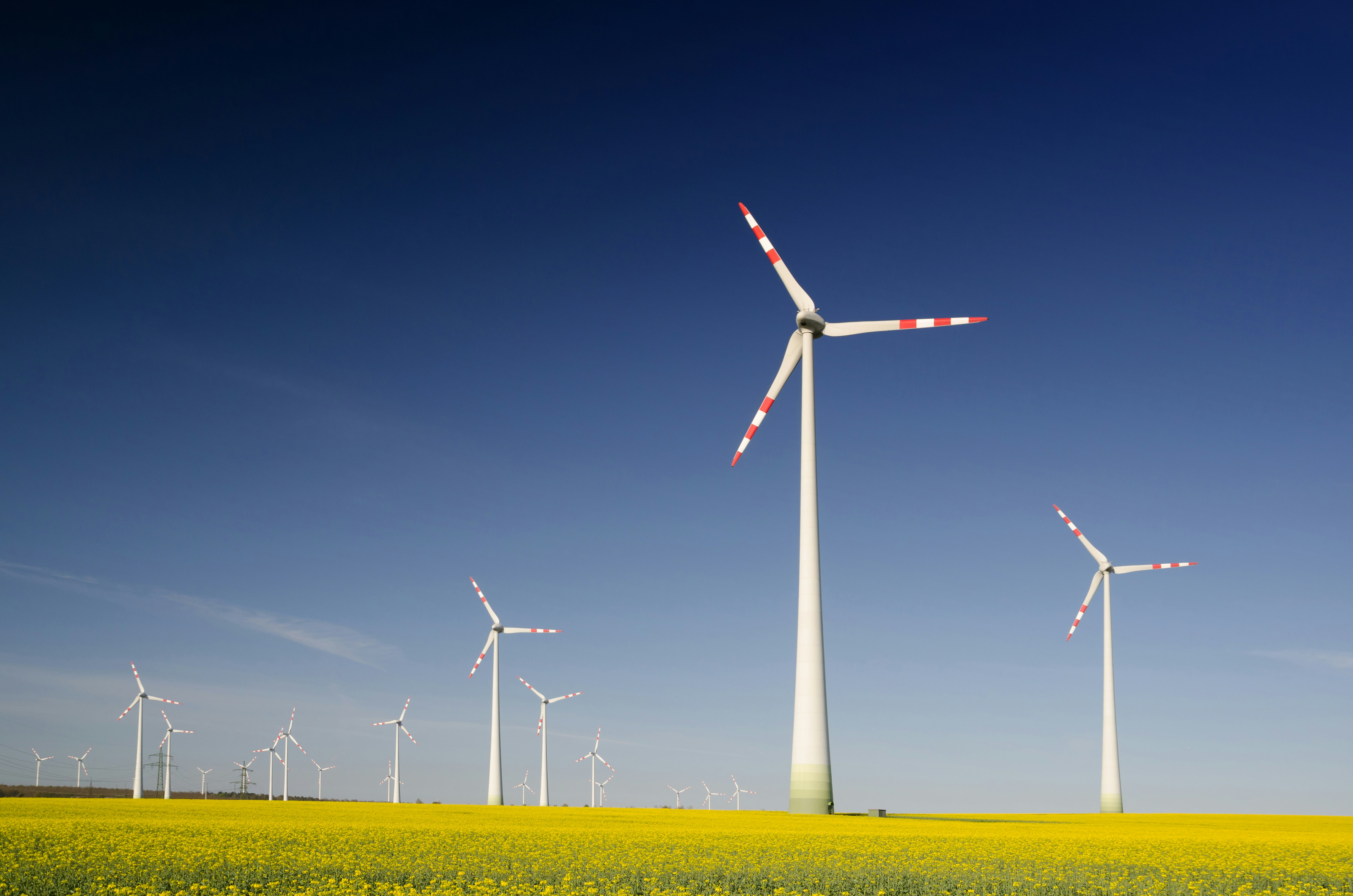 Greenwashing Lawsuits Surge Holding Companies Accountable