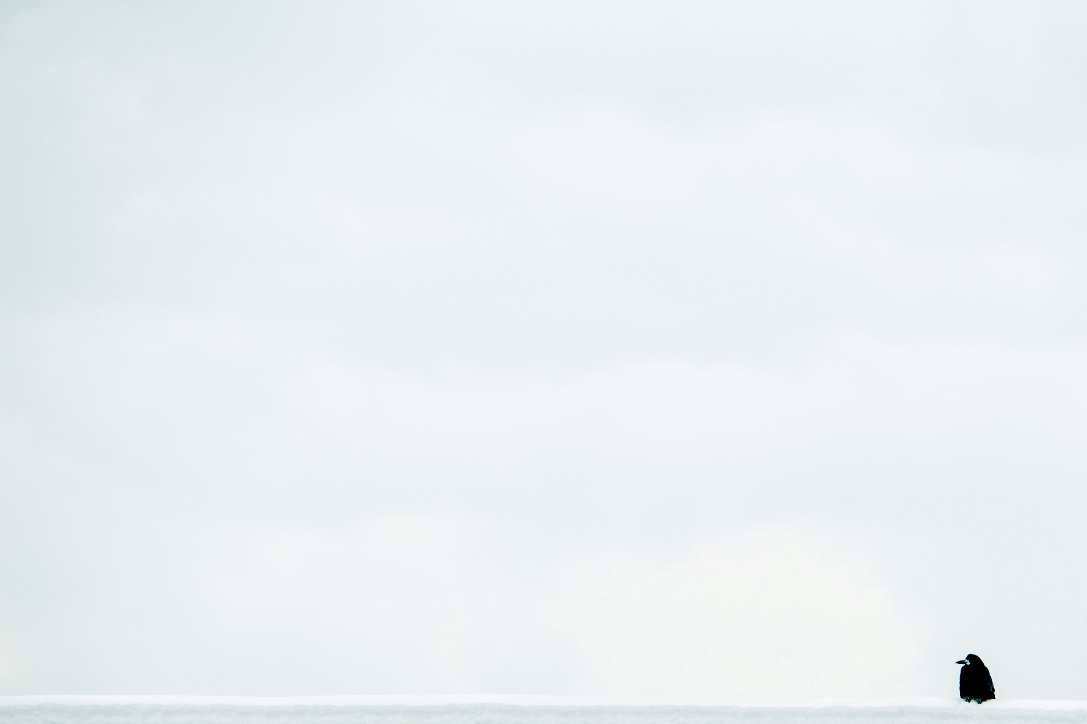 破解21點！這招讓你勝率暴增📈