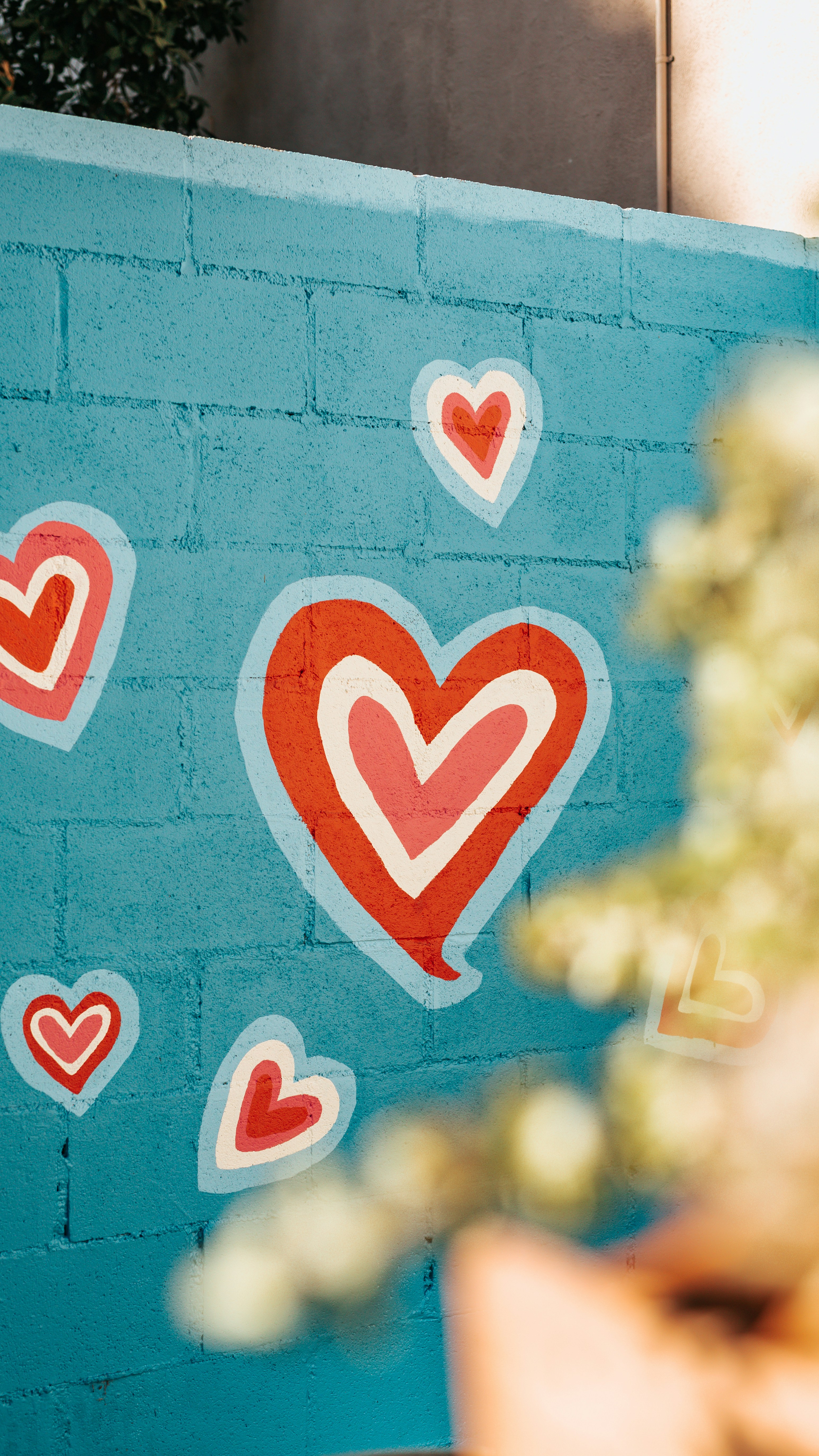 Mentahan Background Foto Love Love Picsart Love Png Images Free