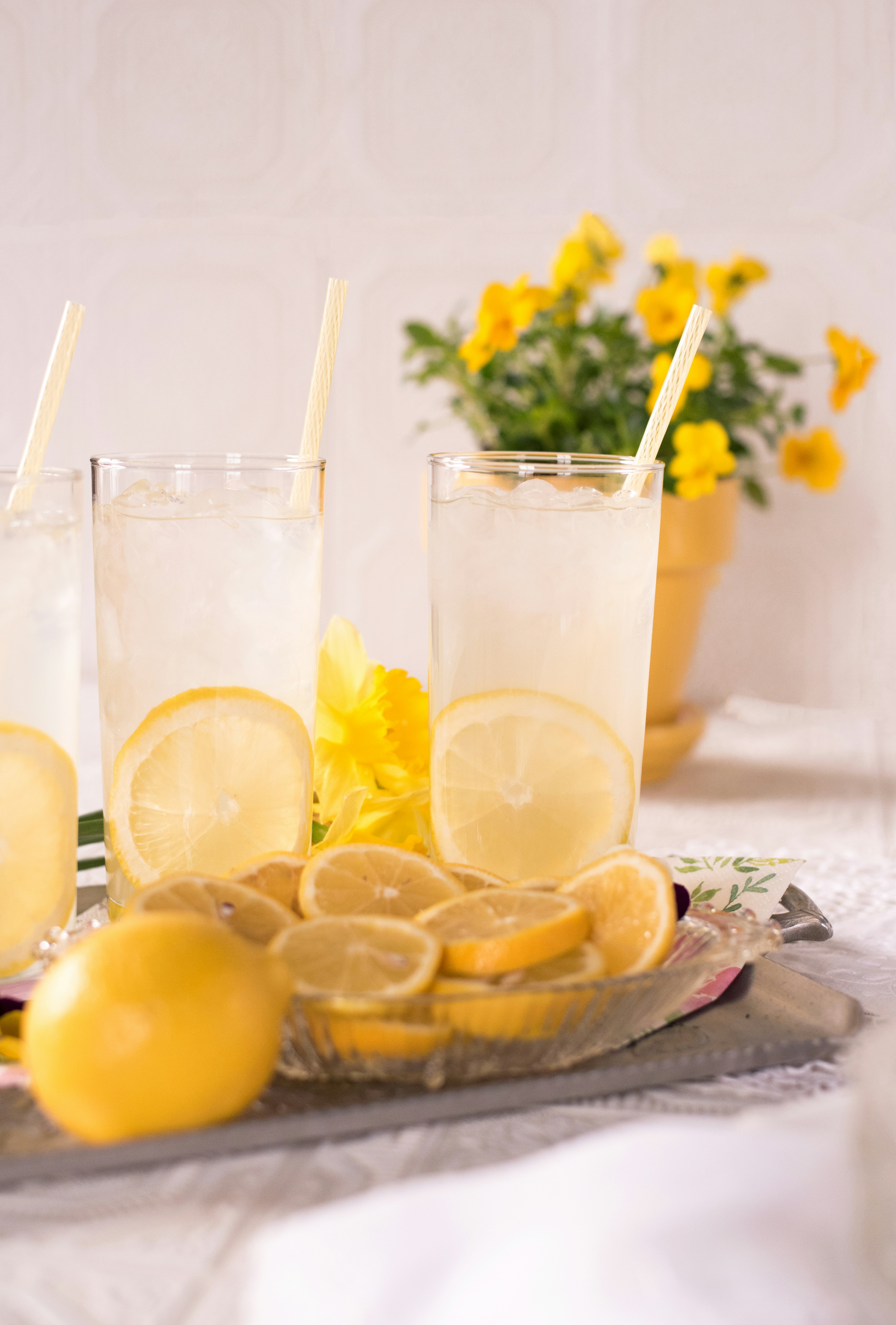 Lemonade Insurance Review Renters & Home Insurance From