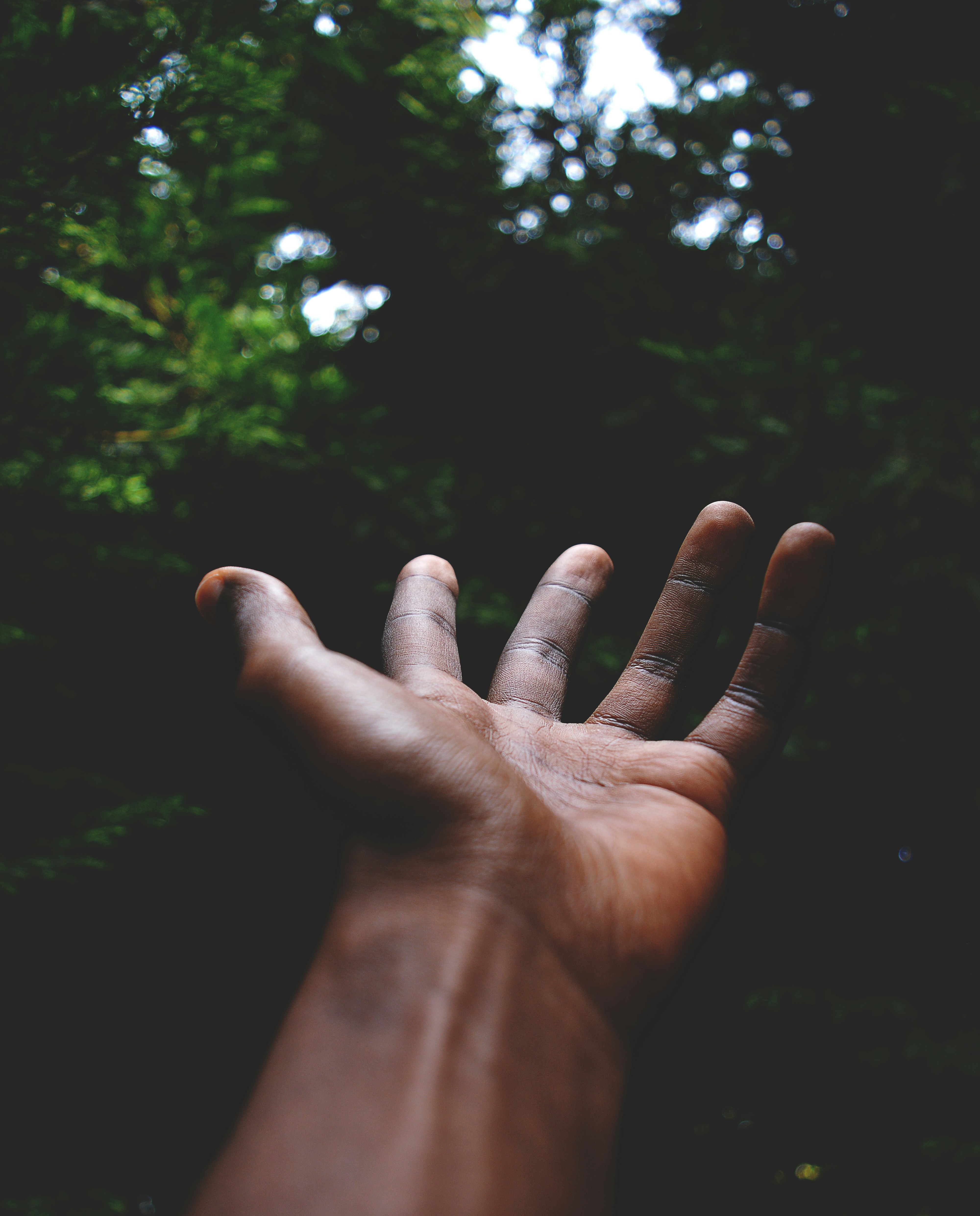 Black Hands Pictures Download Free Images on Unsplash