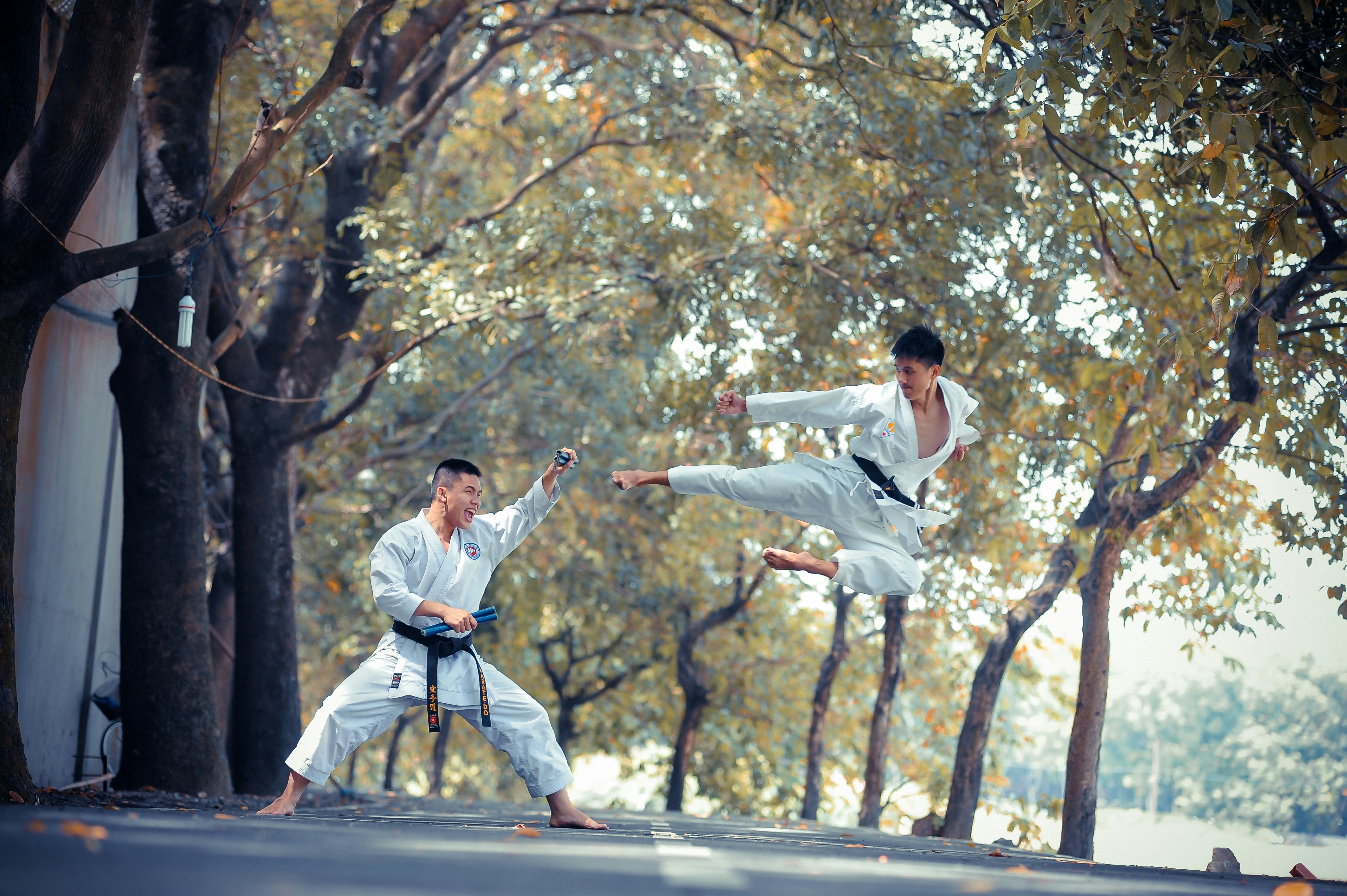 100+ Karate Pictures Download Free Images on Unsplash