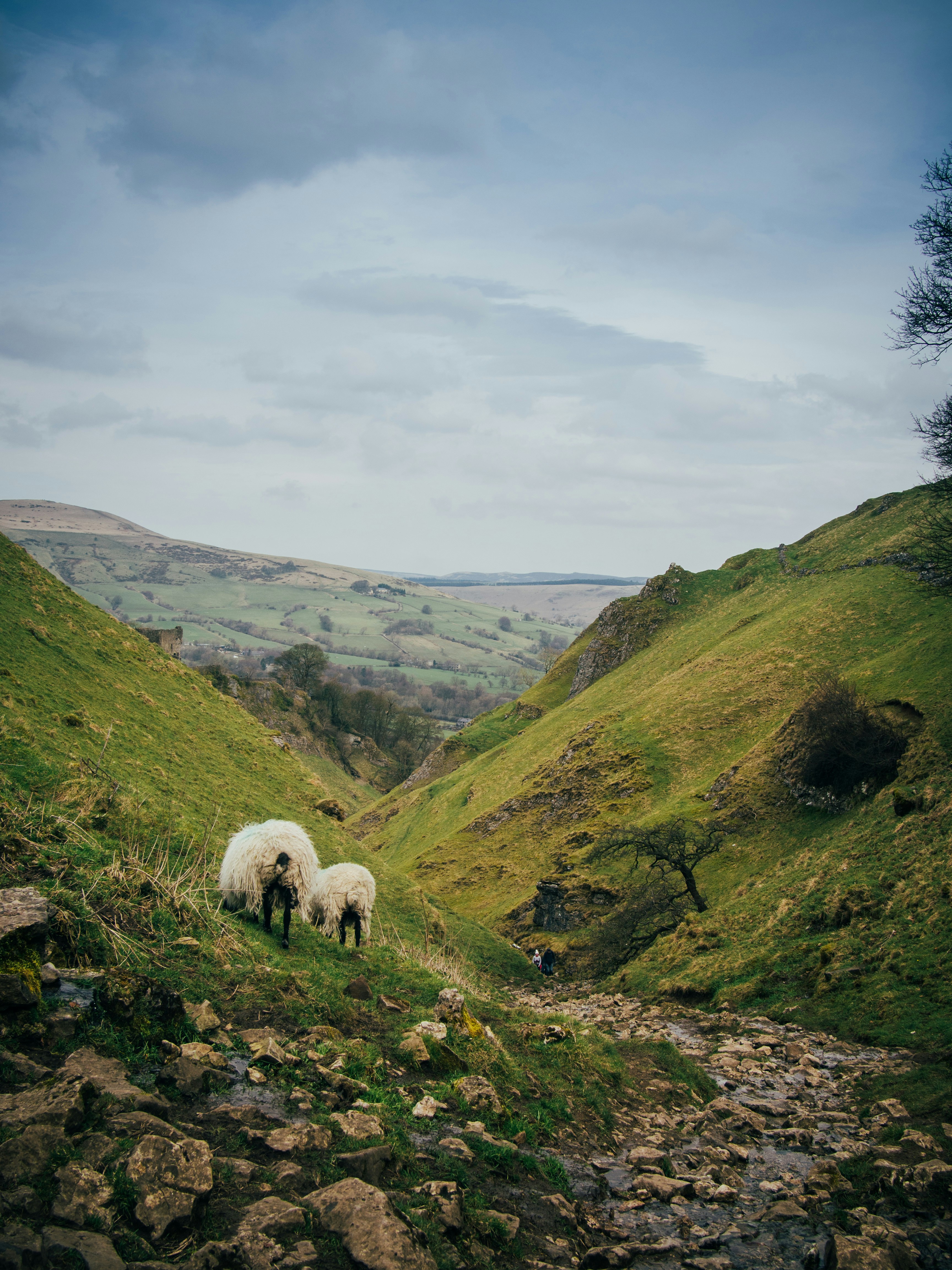 Hillside Pictures Download Free Images on Unsplash