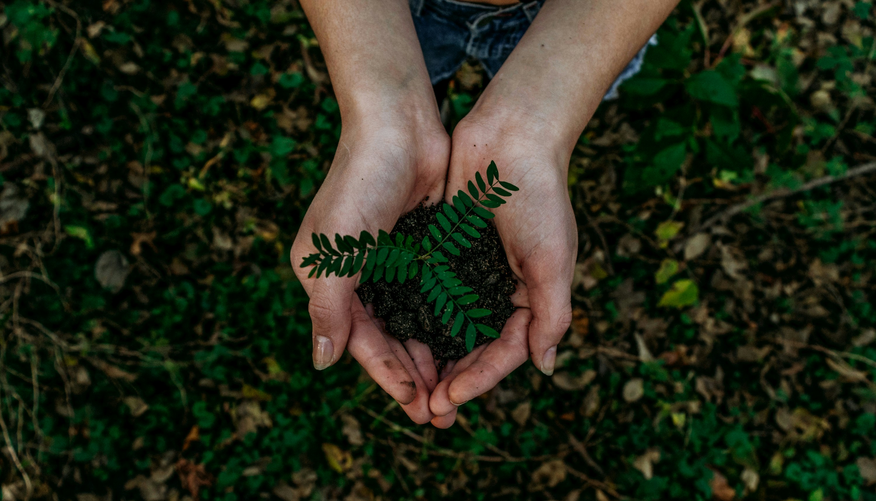 Analyzing the Lifecycle of Green Tech Products