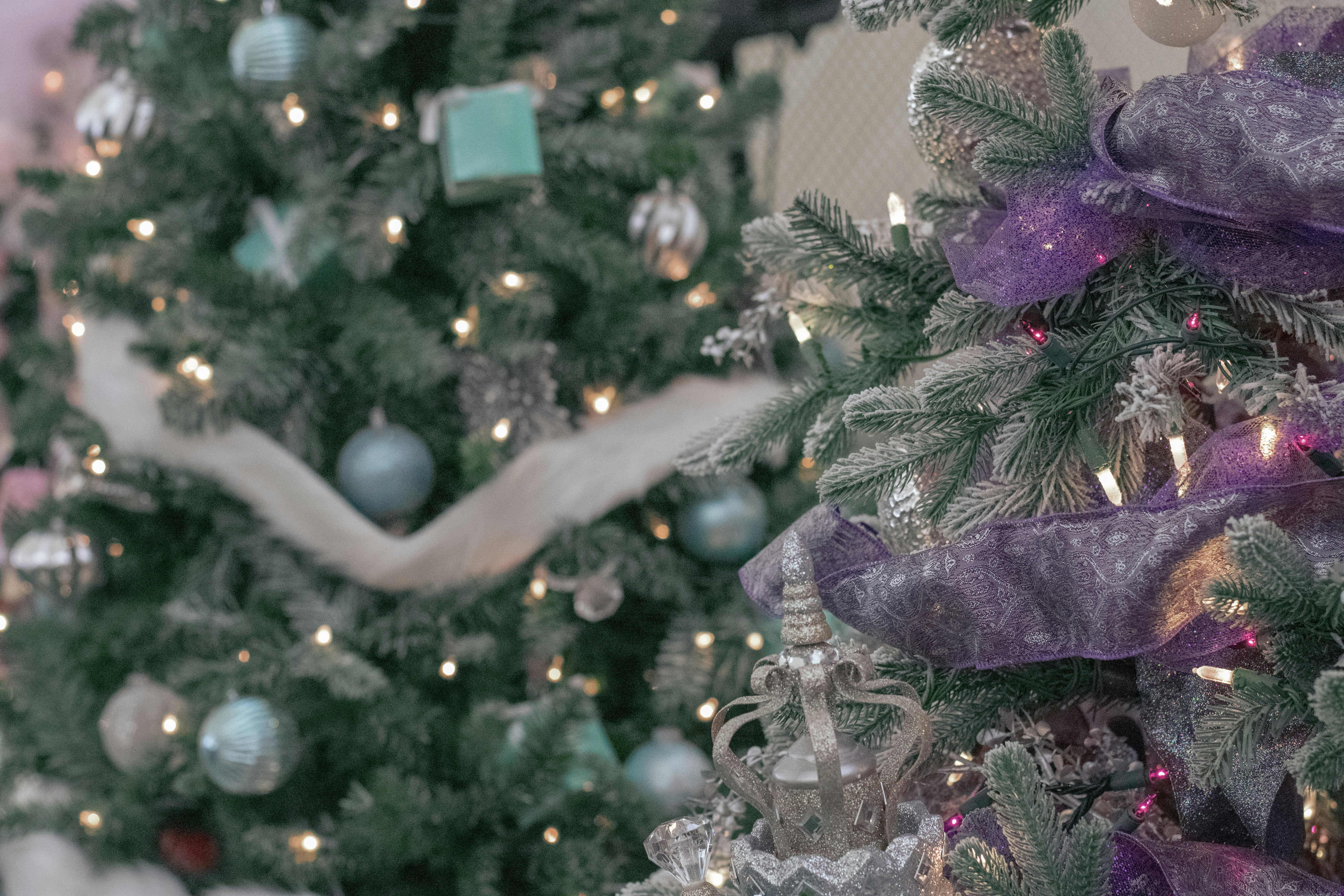 Christmas tree decor photo Free Festival of trees Image on Unsplash