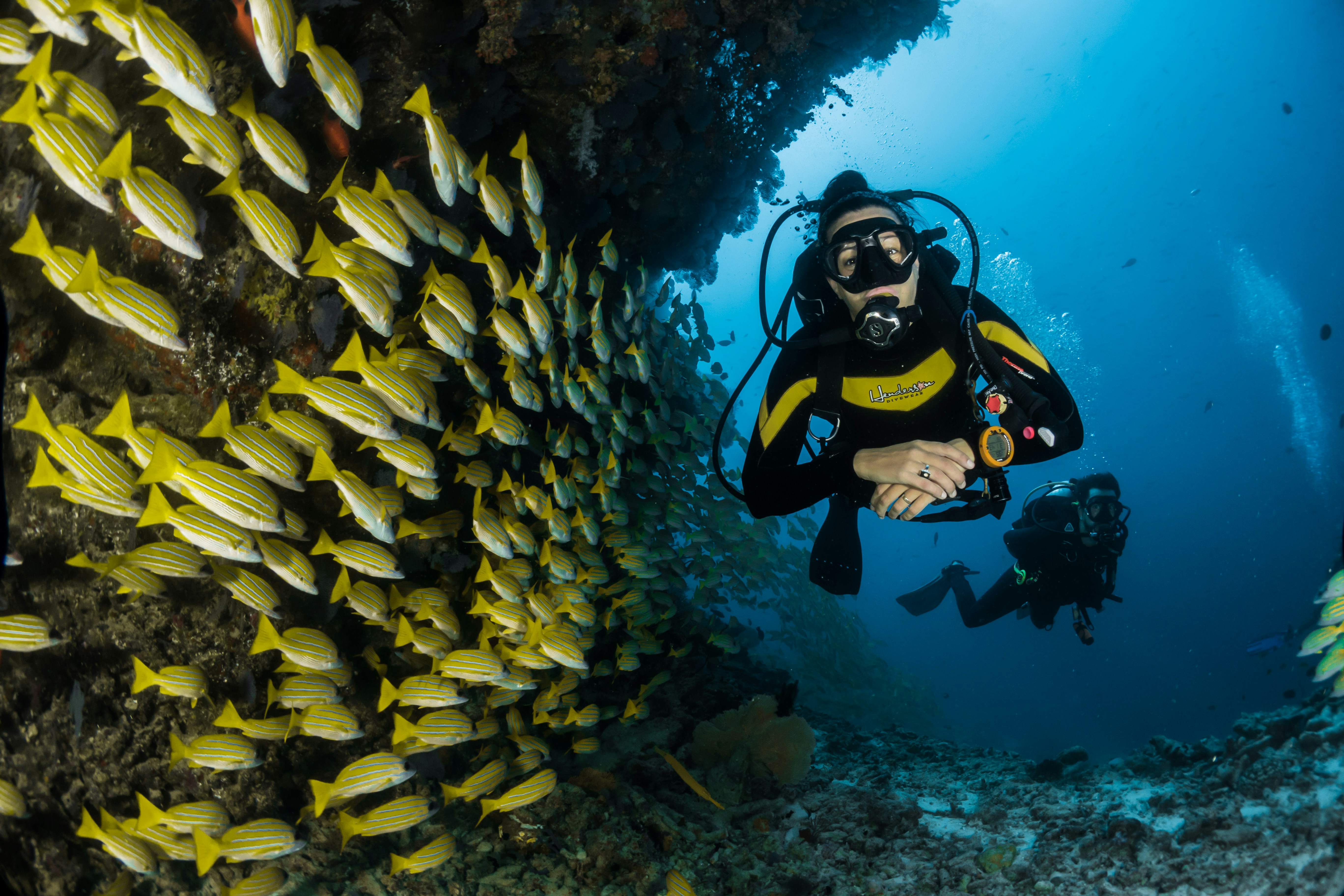 Les 10 meilleurs spots pour faire la plongée sur le littoral du continent Africain