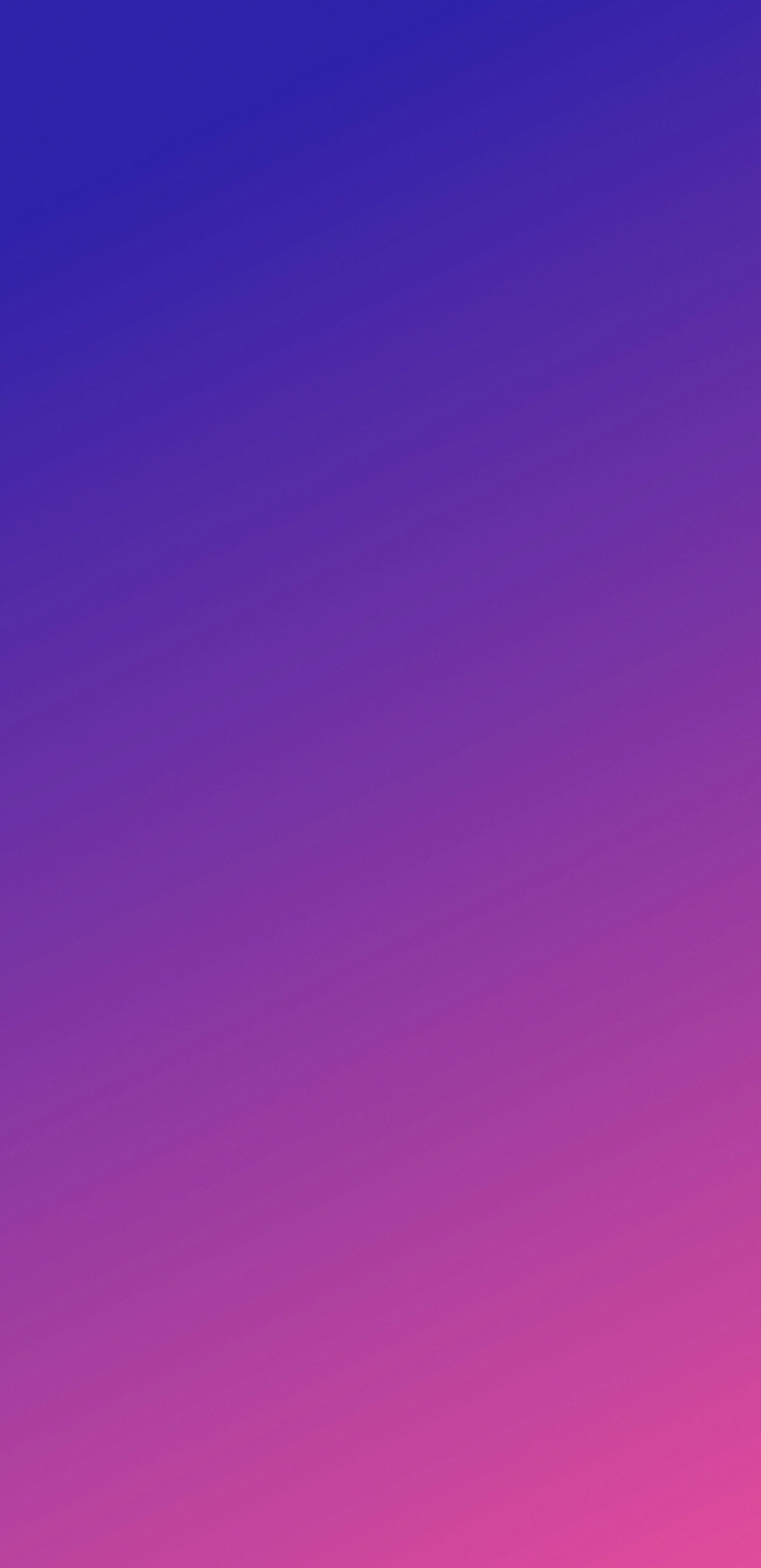 750+ Purple Pictures [HD] Download Free Images on Unsplash