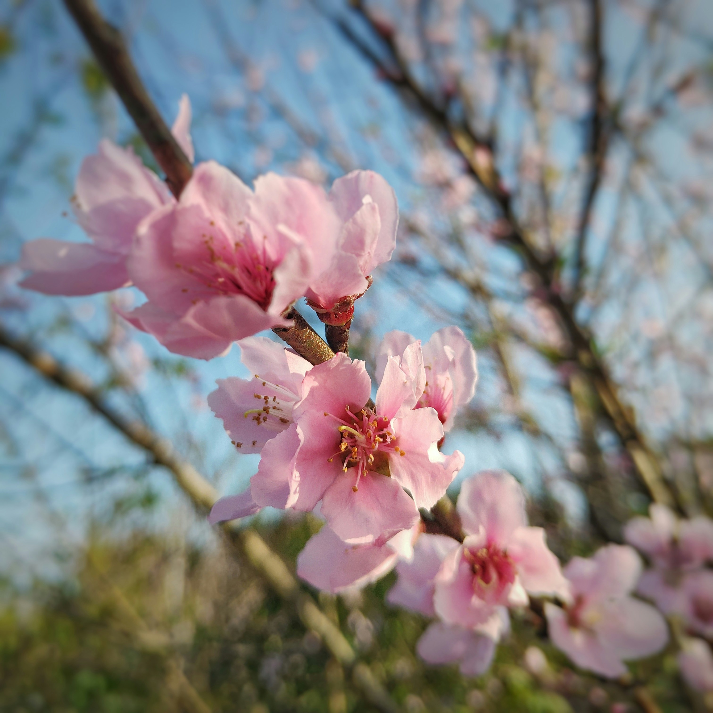 杉田水脈はLGBT差別や性犯罪被害者に対する批判で炎上。人の「生産性」とは何なのか？ SIMPLE LOG