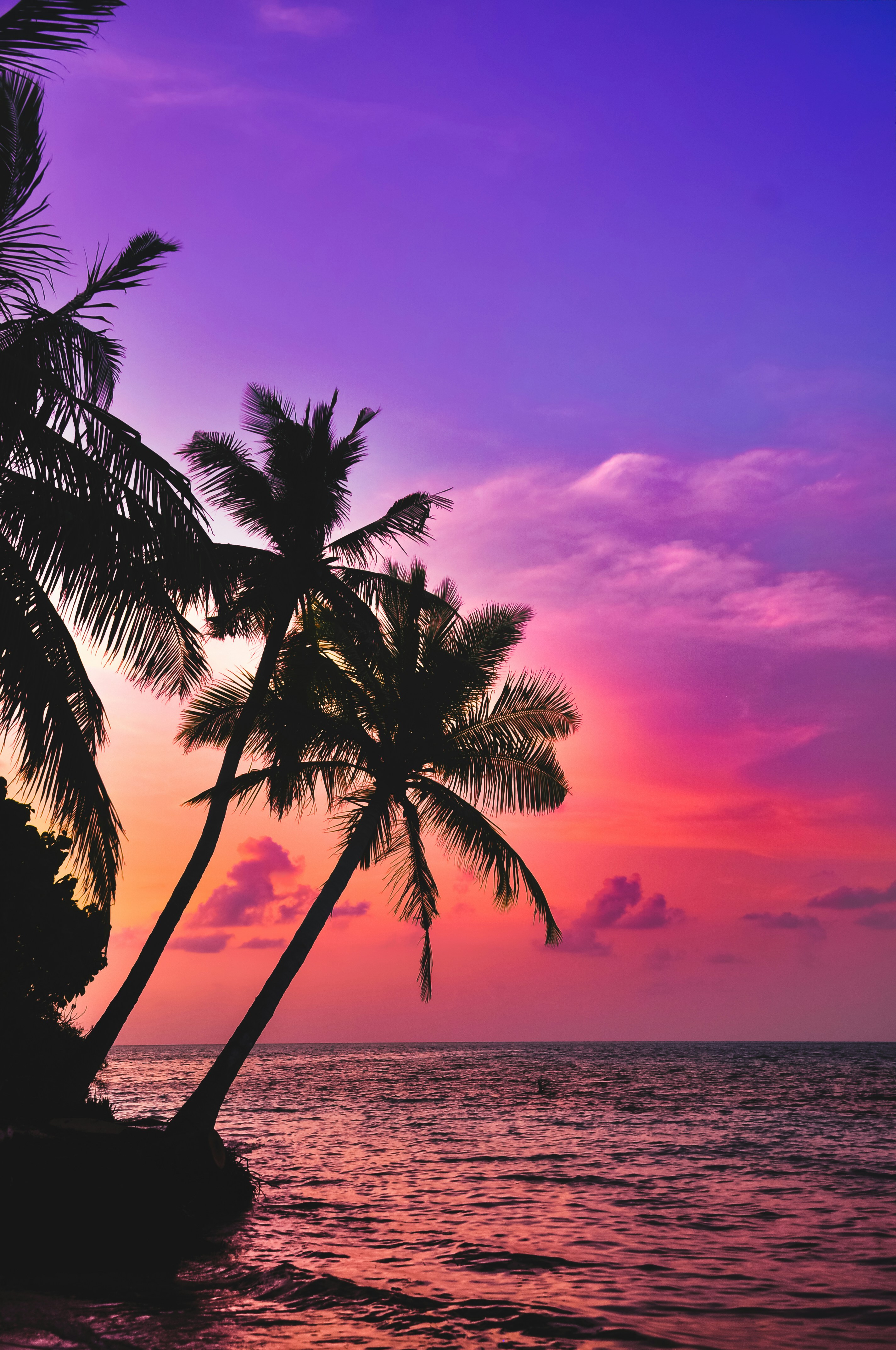Tropical Wallpapers Free HD Download [500+ HQ] Unsplash