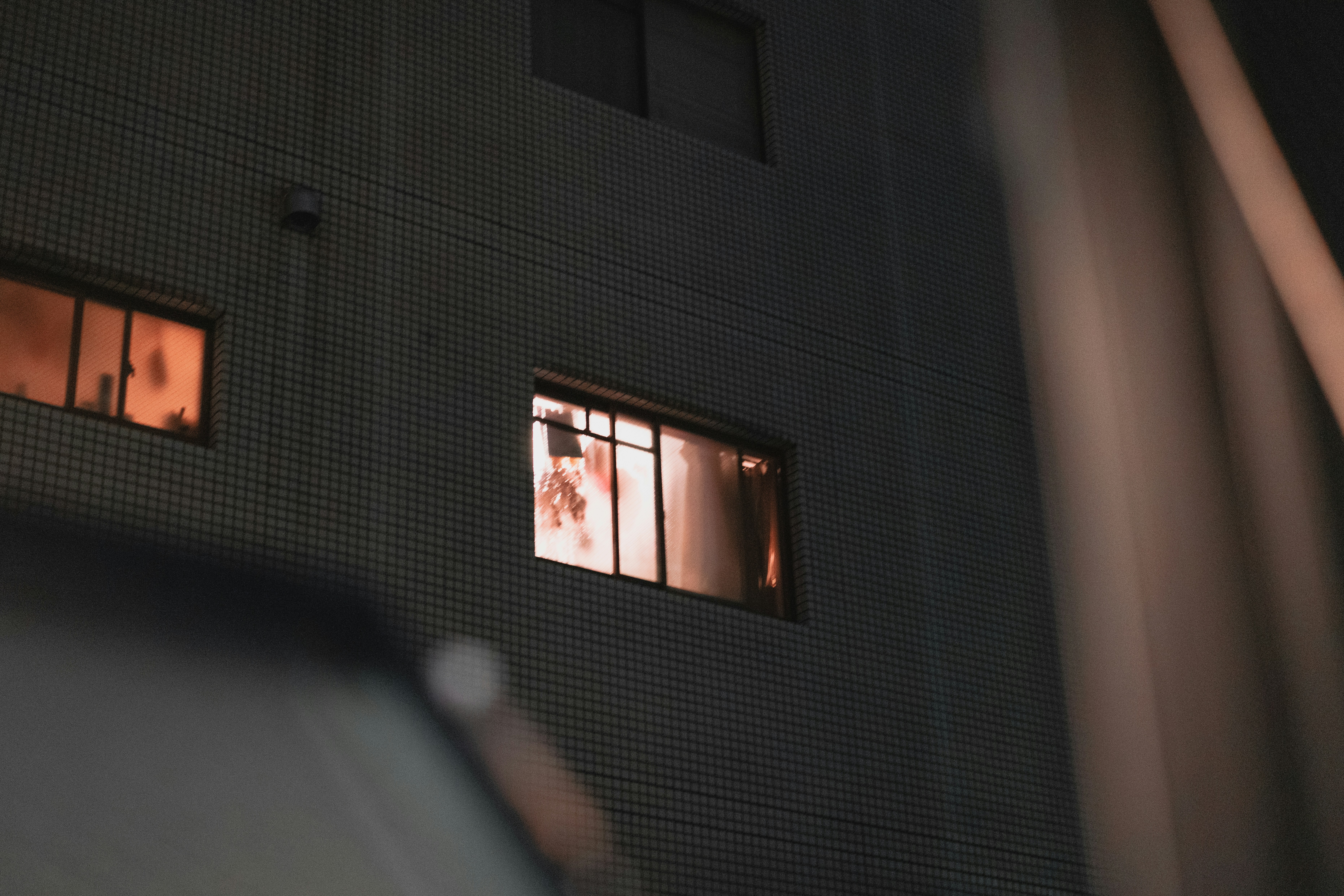 Shirokitsune Onlyfans Leaked Pictures | Download Free Images on Unsplash