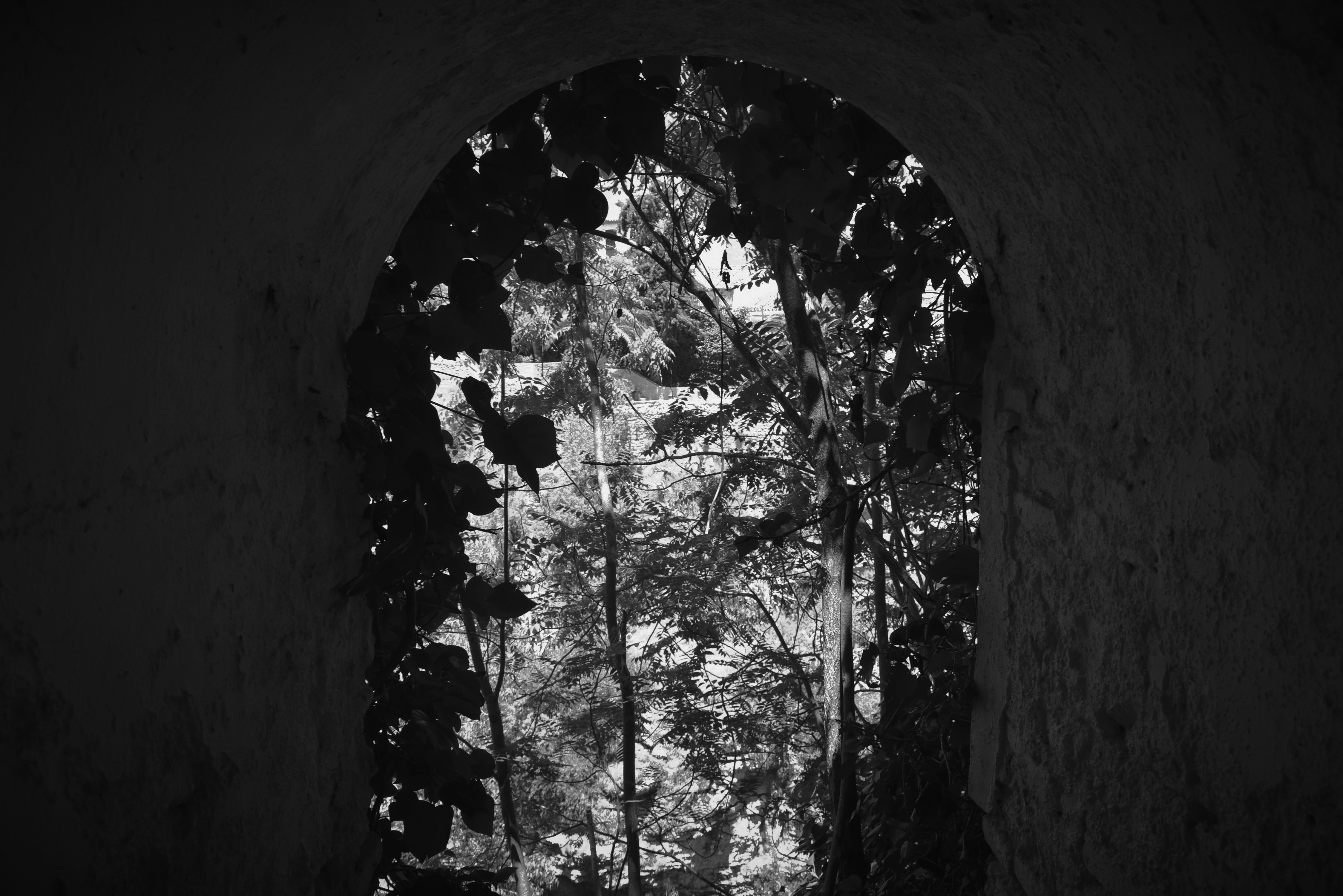 Grayscale photo of archway photo Free Grey Image on Unsplash