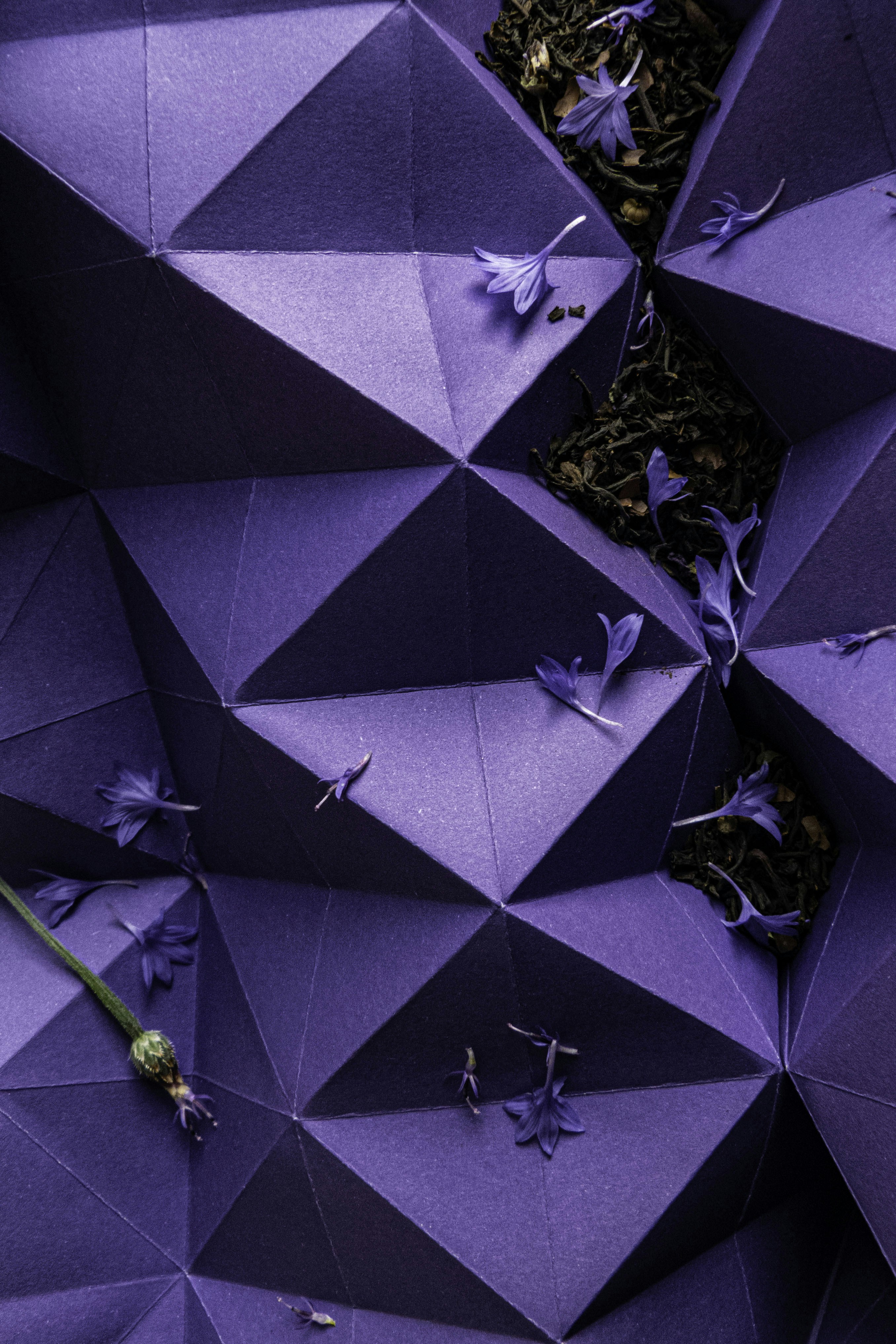 Replisser définition de « replisser » La langue française