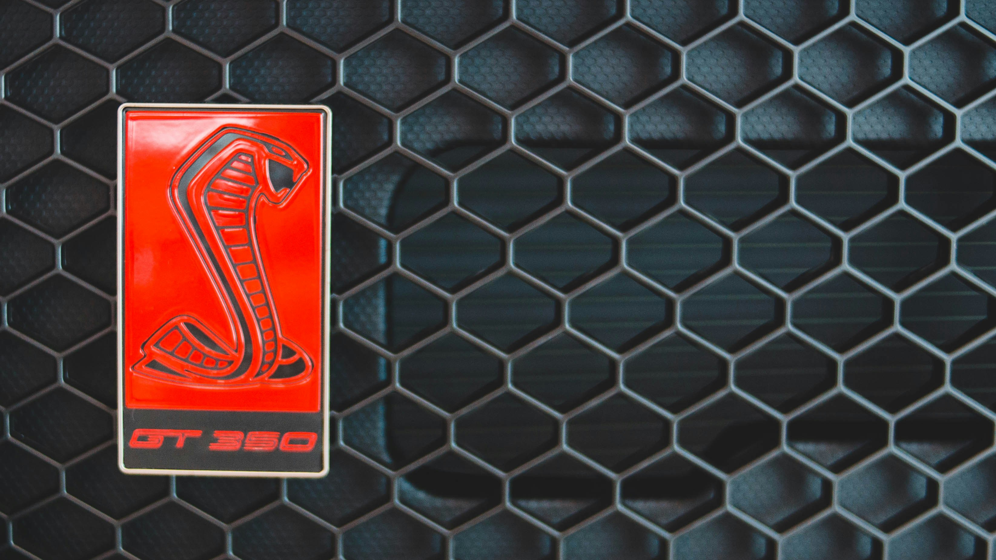 打牌前必看！二十一點勝率爆增的XX神招🔥