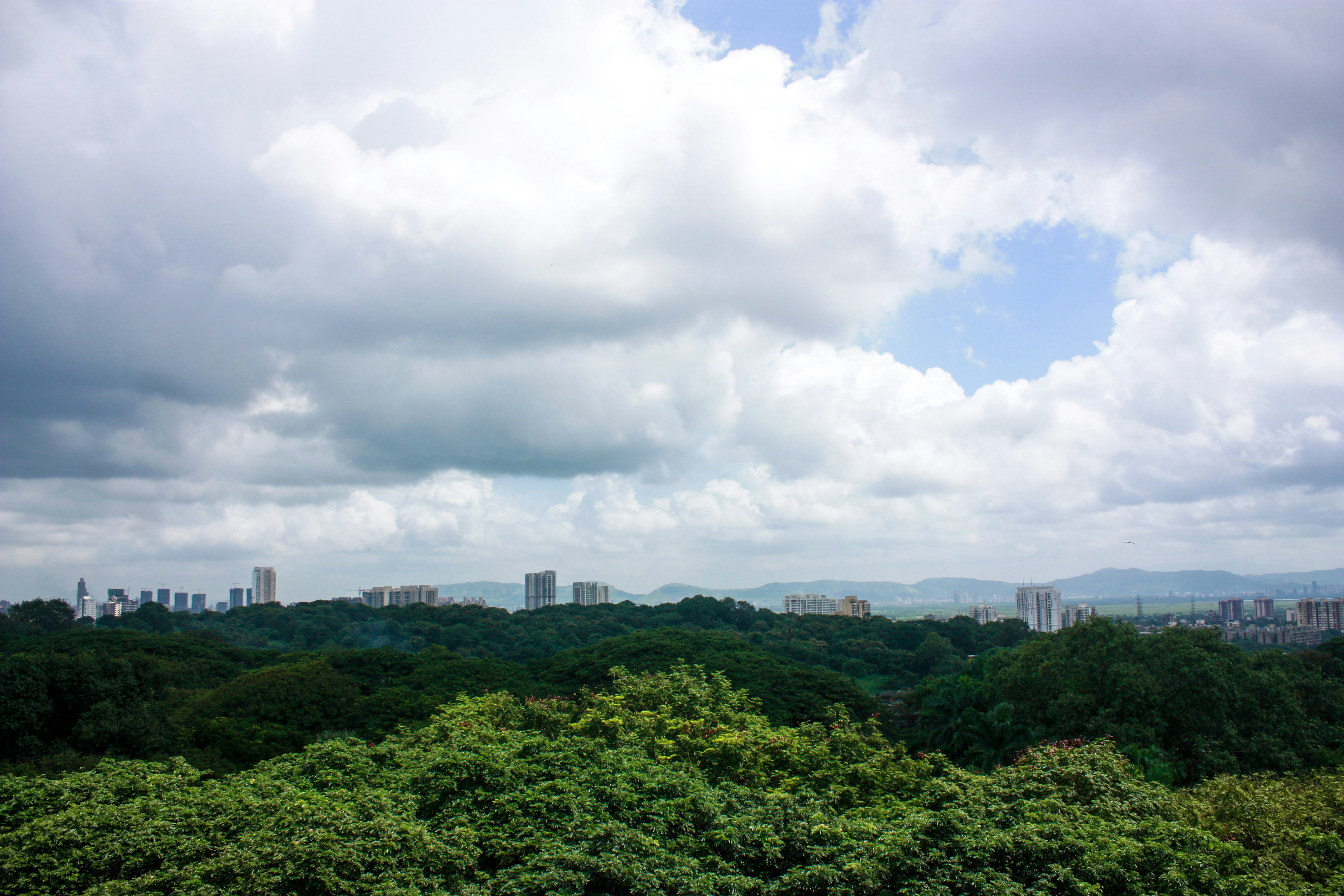 Iit Bombay Pictures Download Free Images on Unsplash