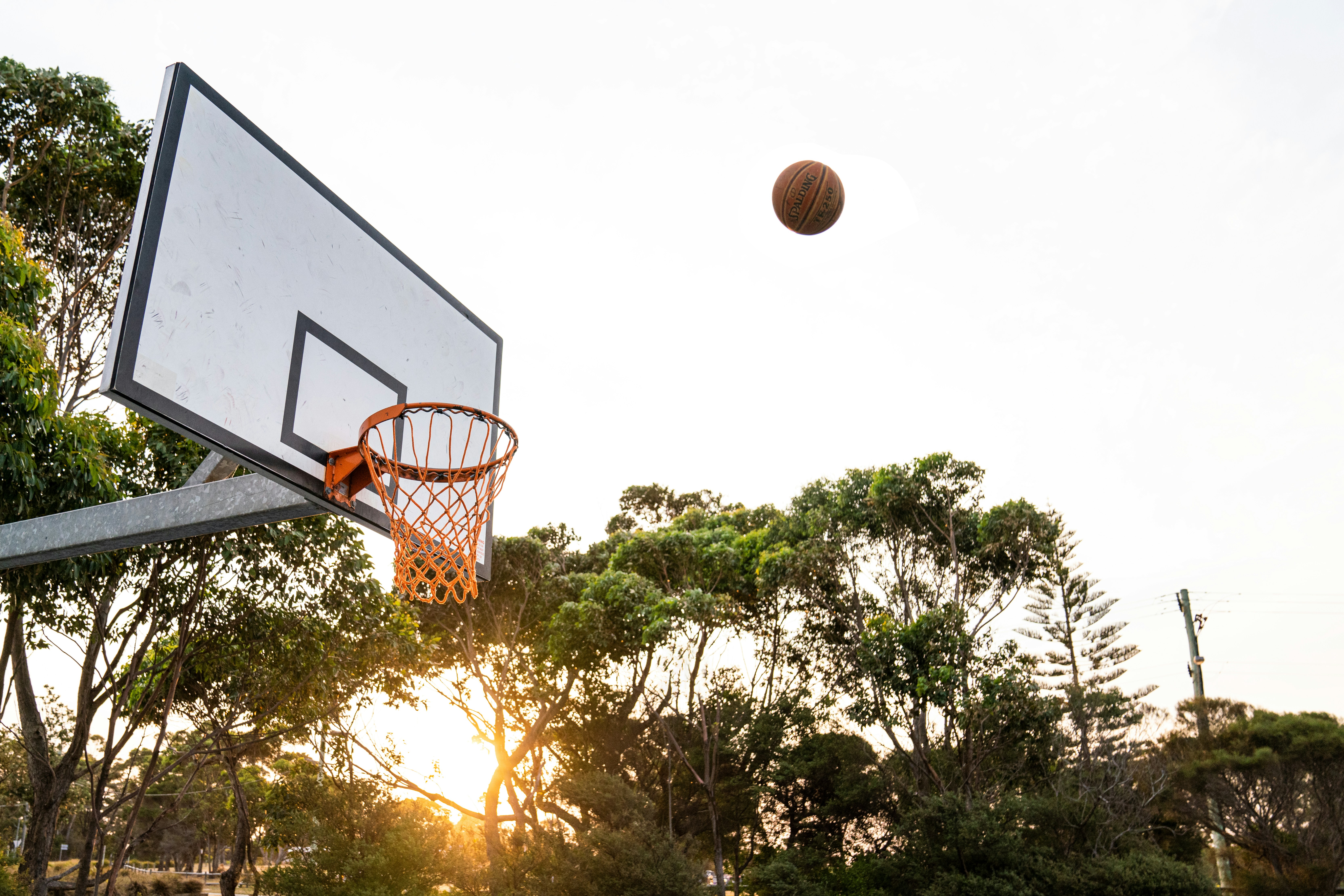 Basketball hoop near tree during daytime photo Free Hoop Image on