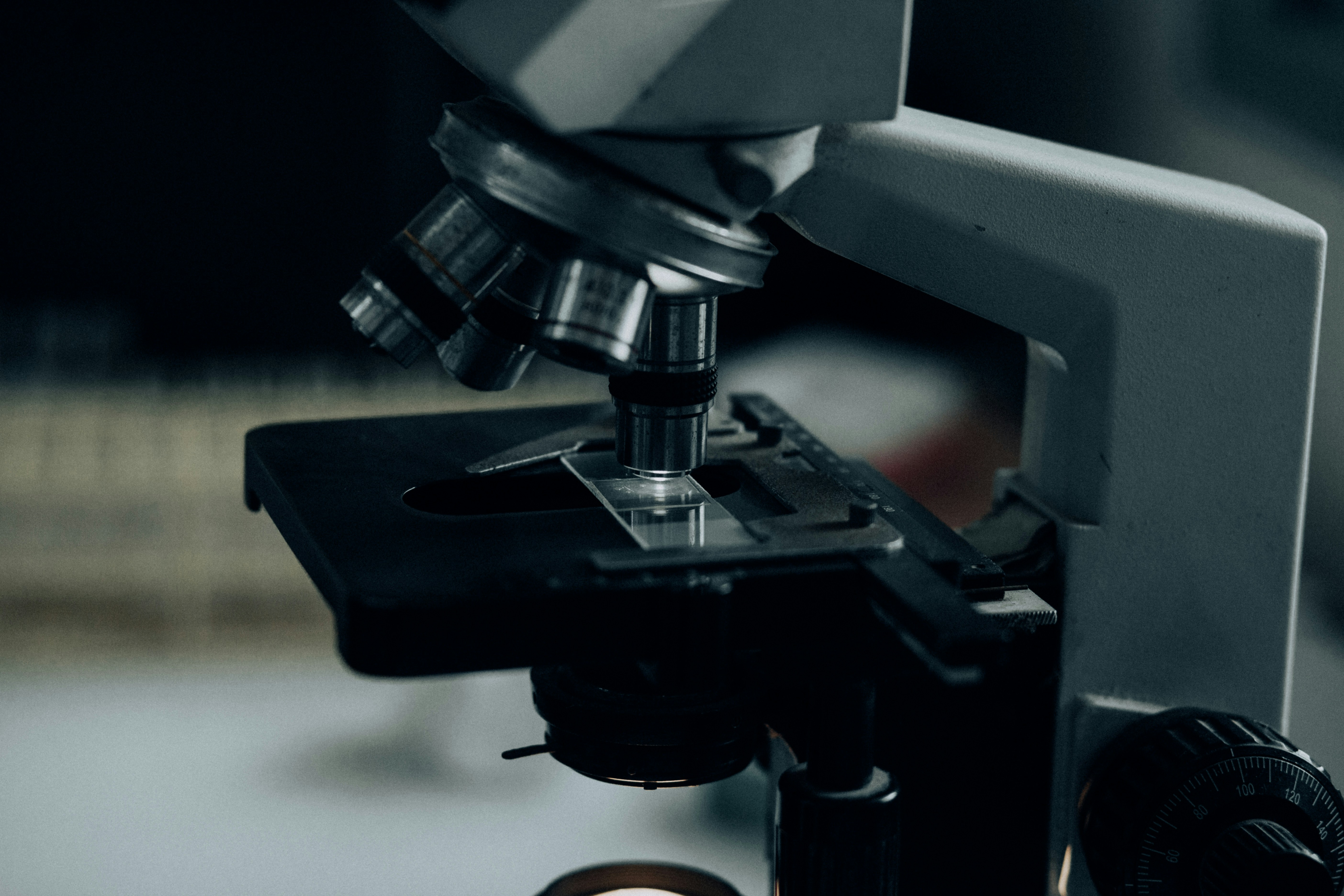 GCE CIE Biology Magnification and Measurement Units biology GCE CIE