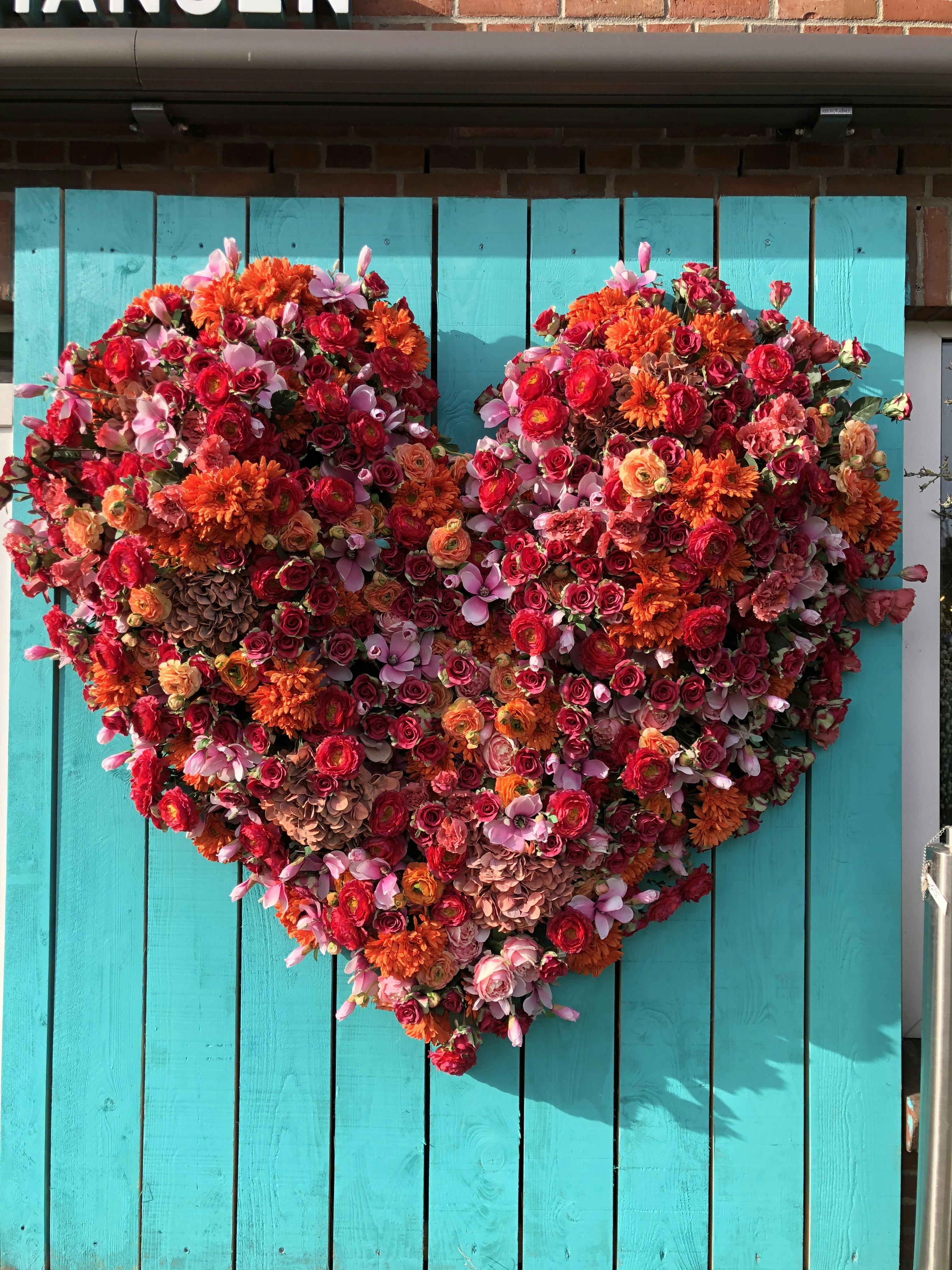 999+ Flower Heart Pictures Download Free Images on Unsplash