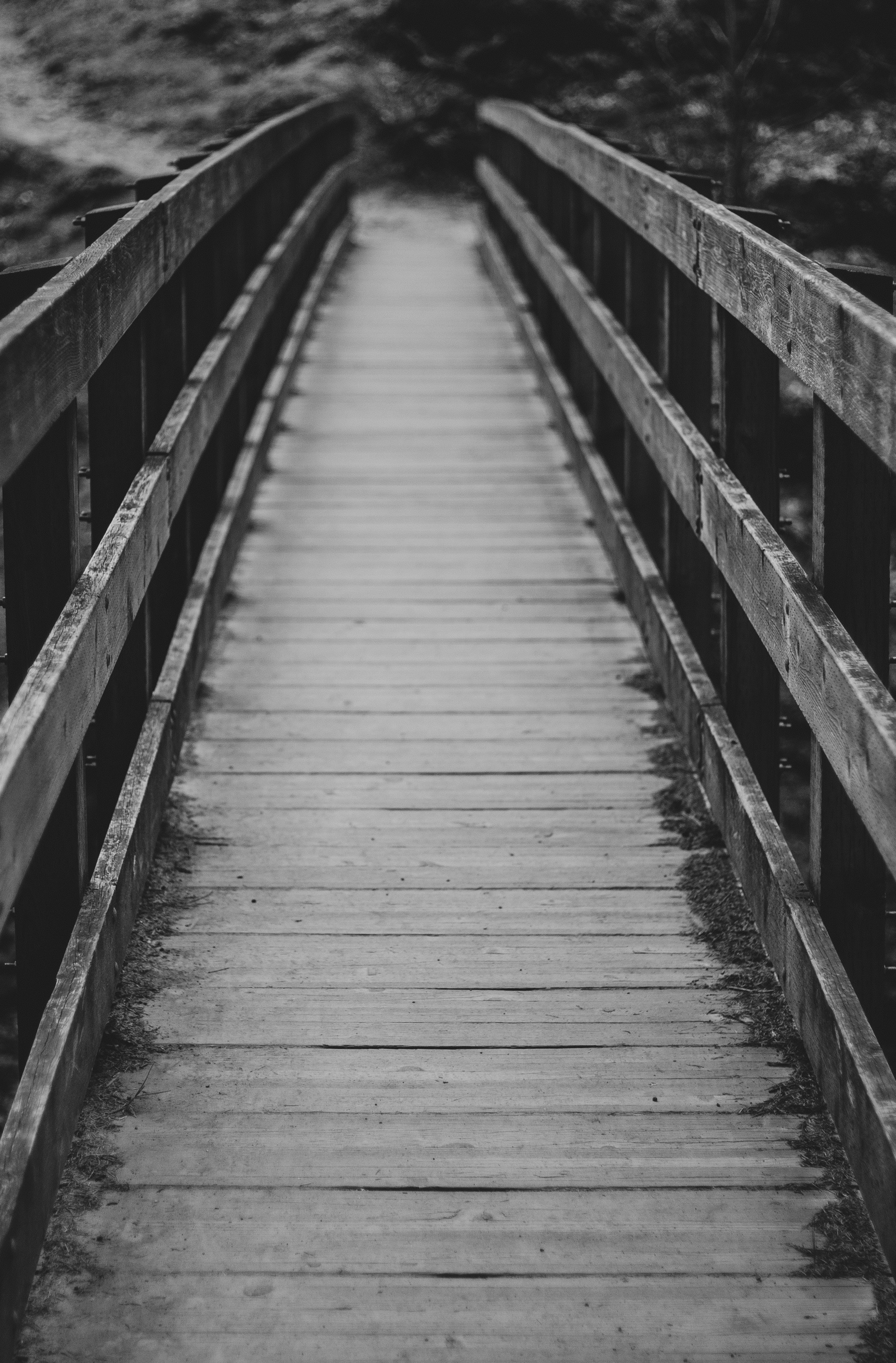 Black And White Bridge Pictures Download Free Images on Unsplash