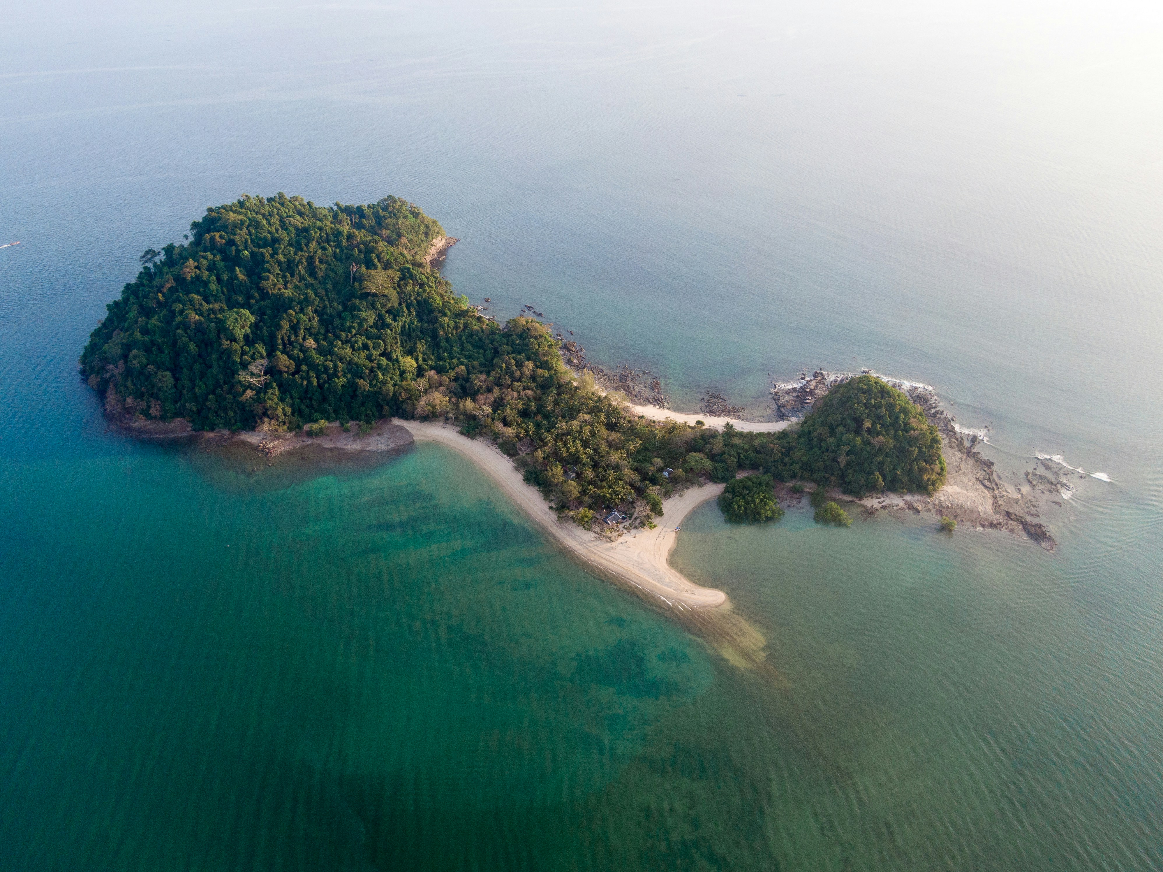 green trees on island surrounded by water during daytime photo Free