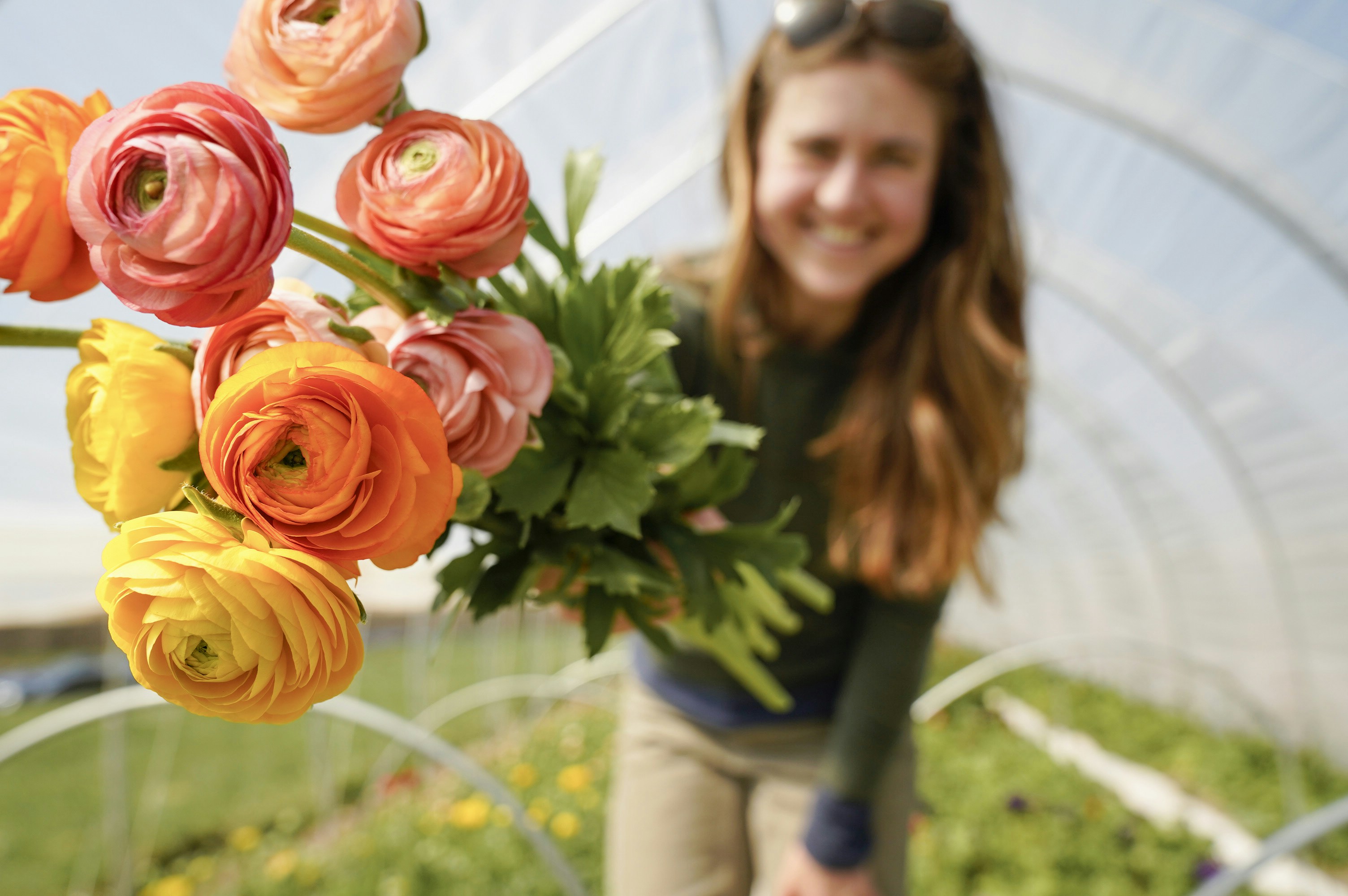 From Rooftops to Retail: The Rise of Hong Kong’s Urban Flower Growers