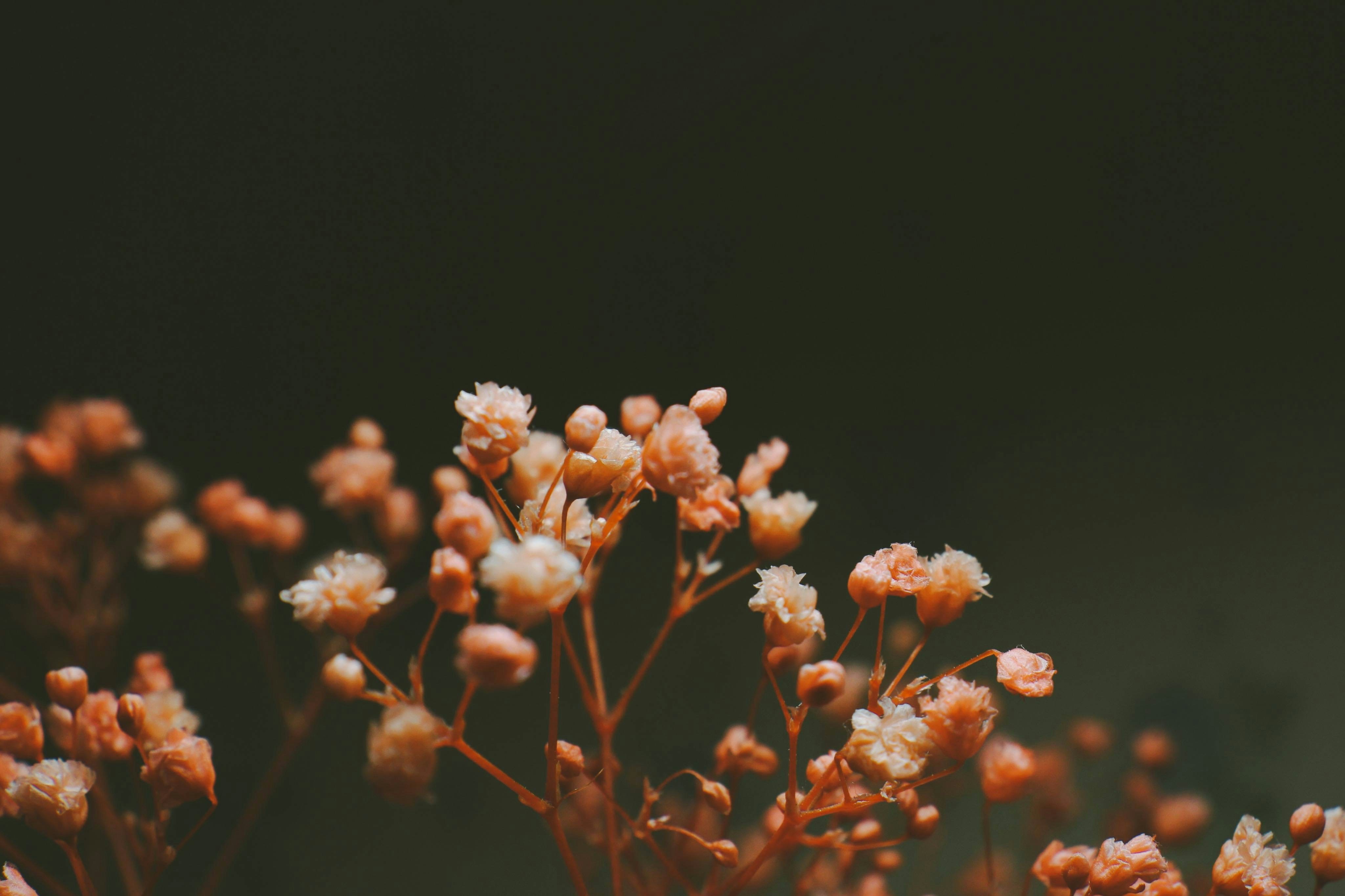 室內裝潢設計：靈感案例解析