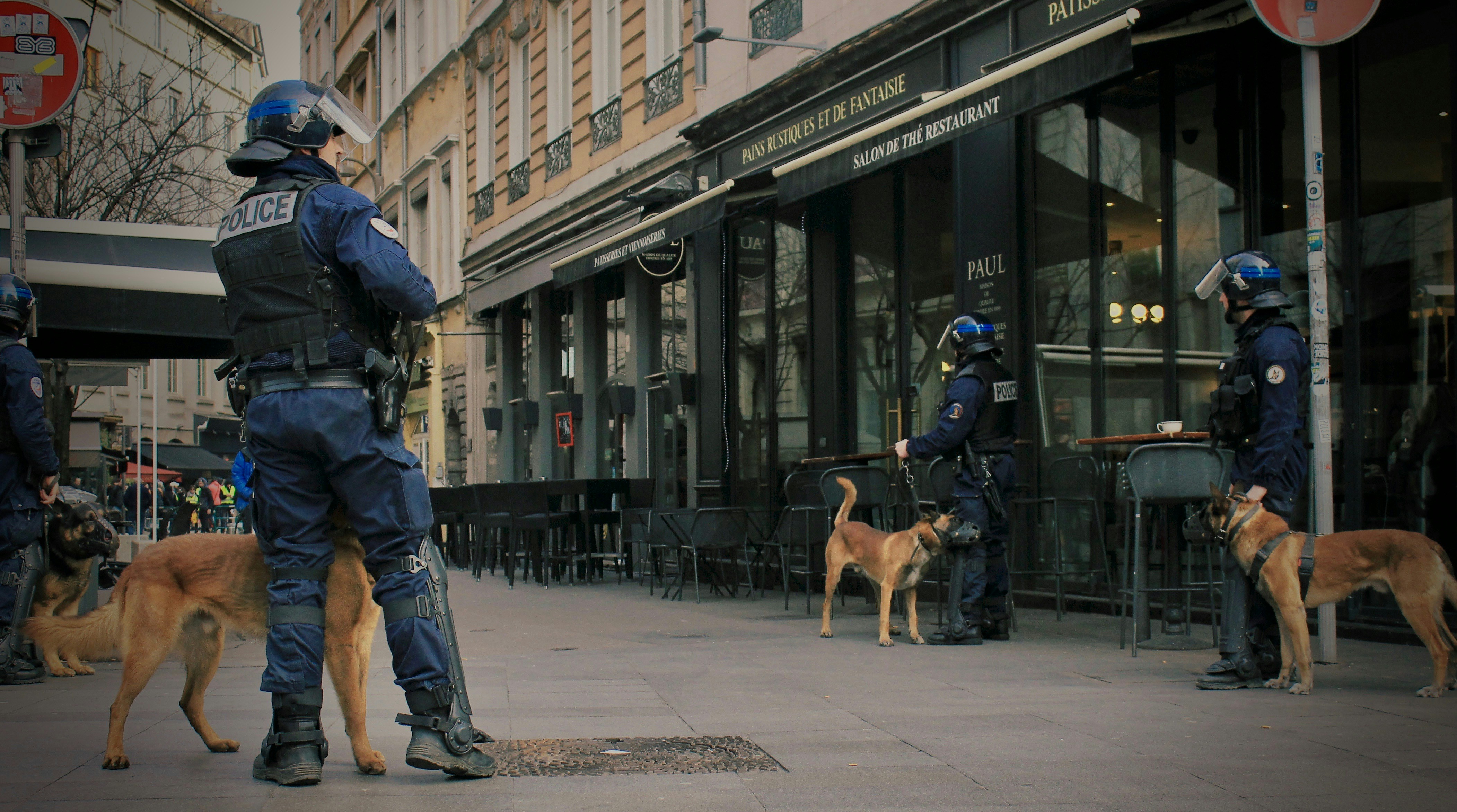 Maîtrechien définition de « maîtrechien » La langue