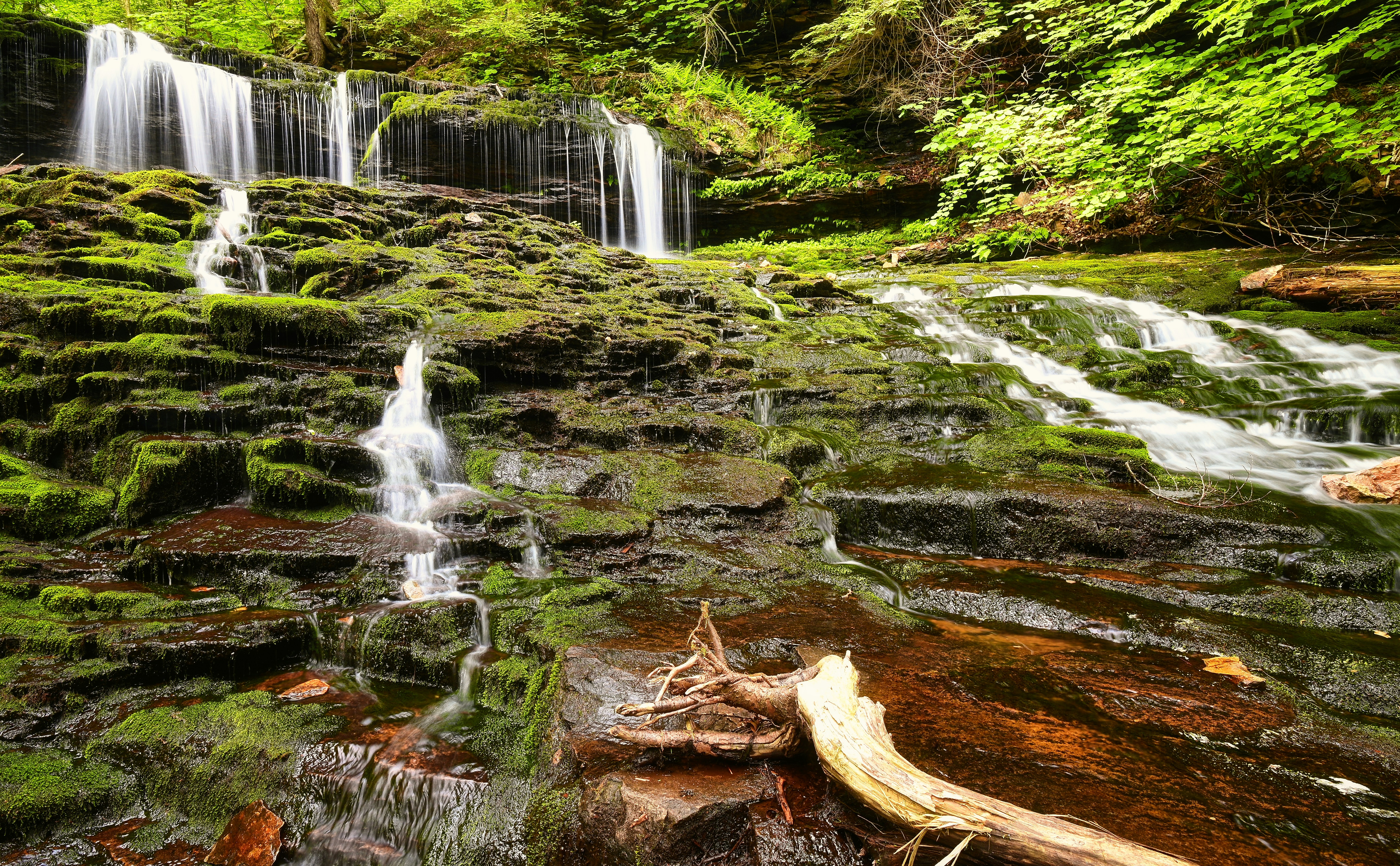 Pennsylvania Facts for Kids Social Studies Twinkl USA