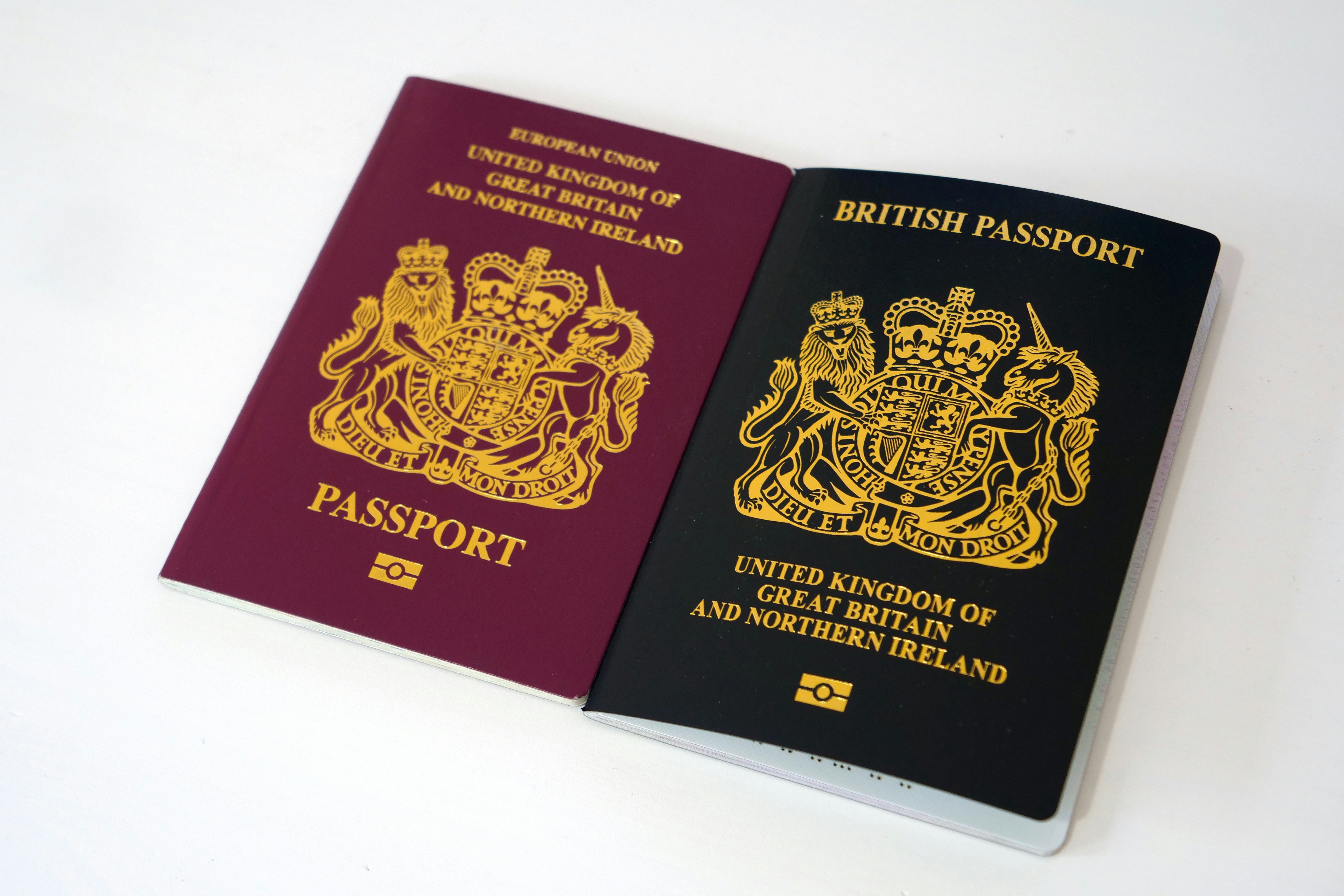 Uk Passport Pictures Download Free Images on Unsplash