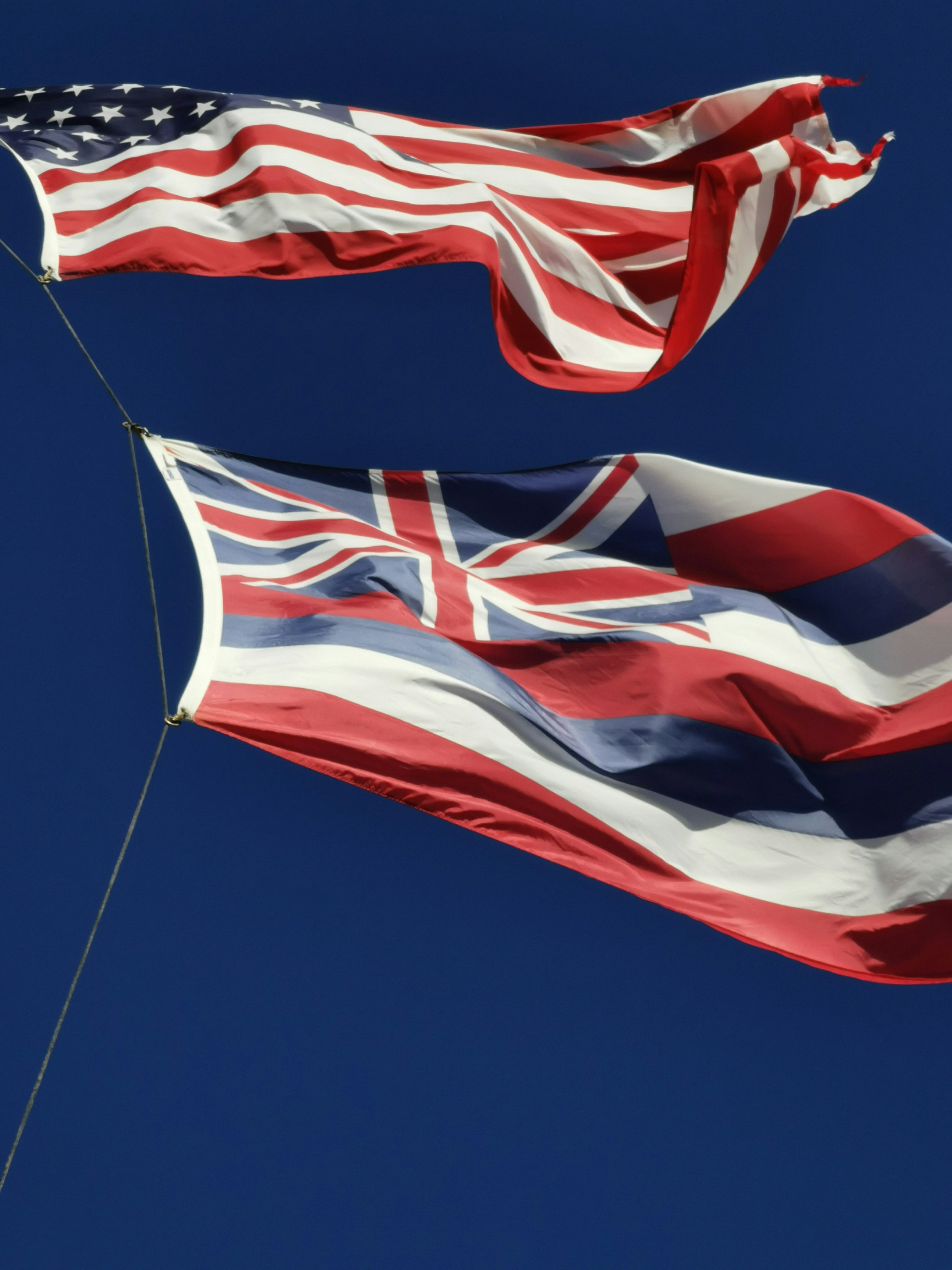 red white and blue flag photo Free Flag Image on Unsplash