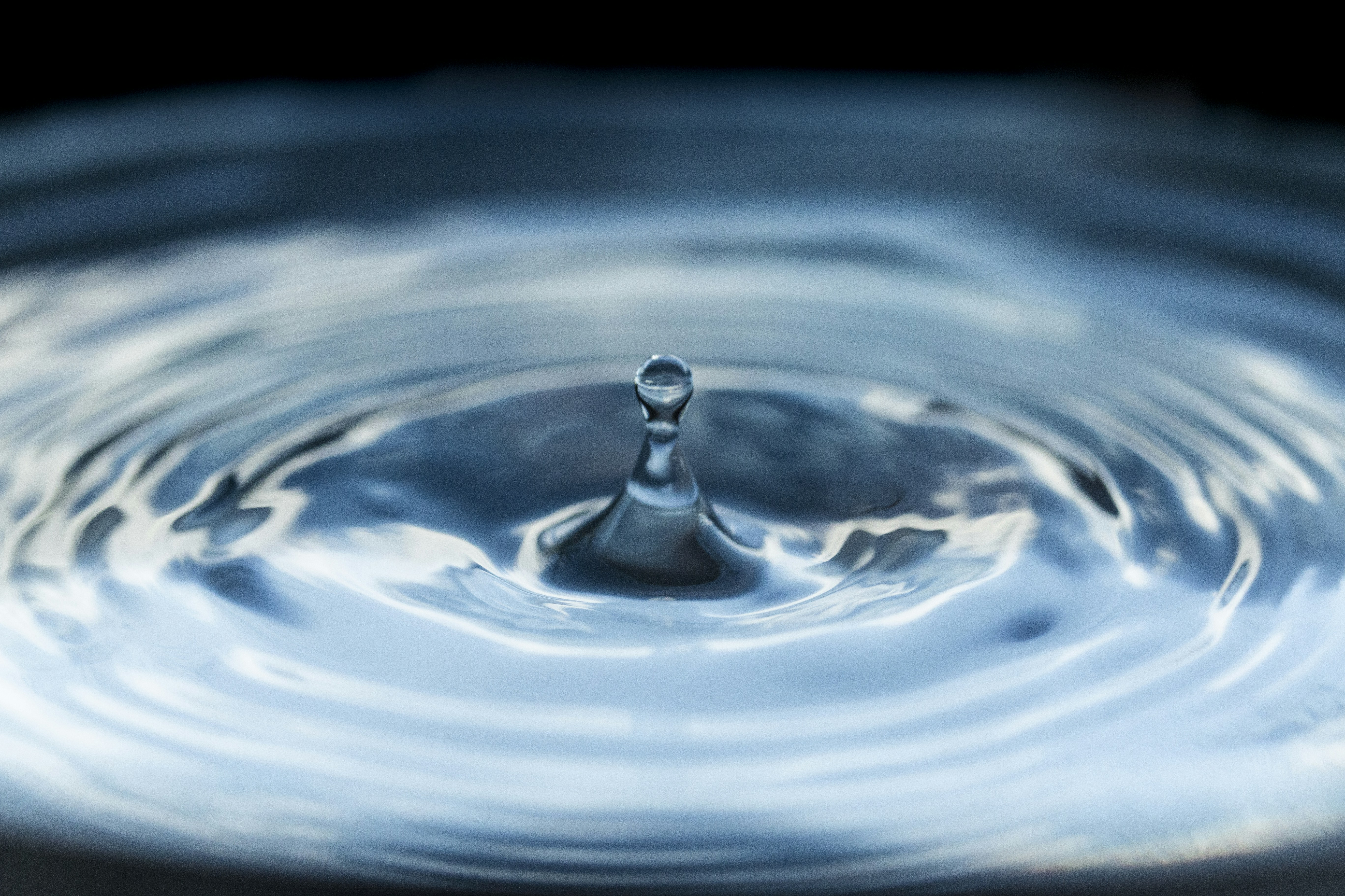 Drop Of Water Pictures Download Free Images on Unsplash