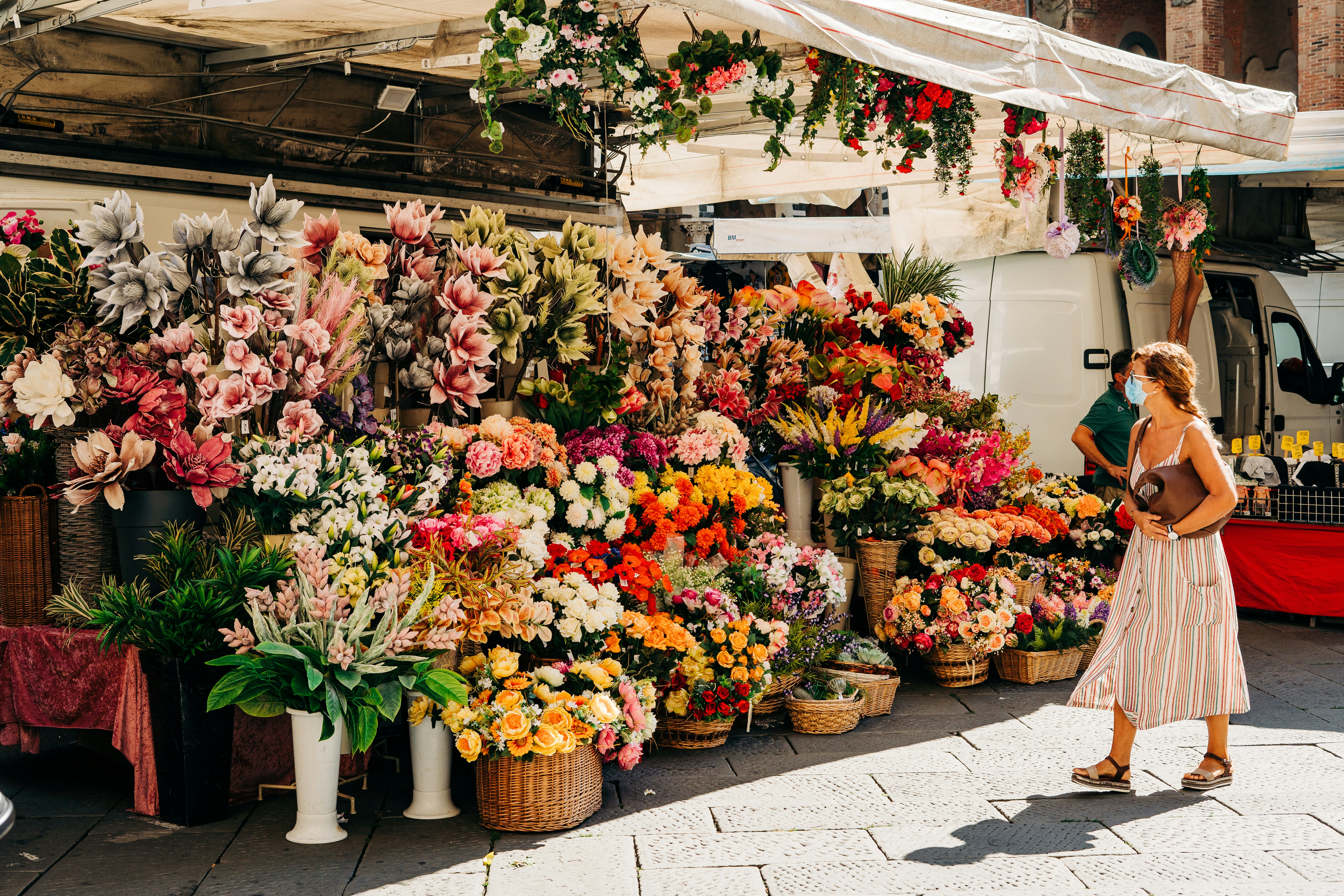 Florists Can Halve Cooler Energy Bills Without Losing a Single Stem