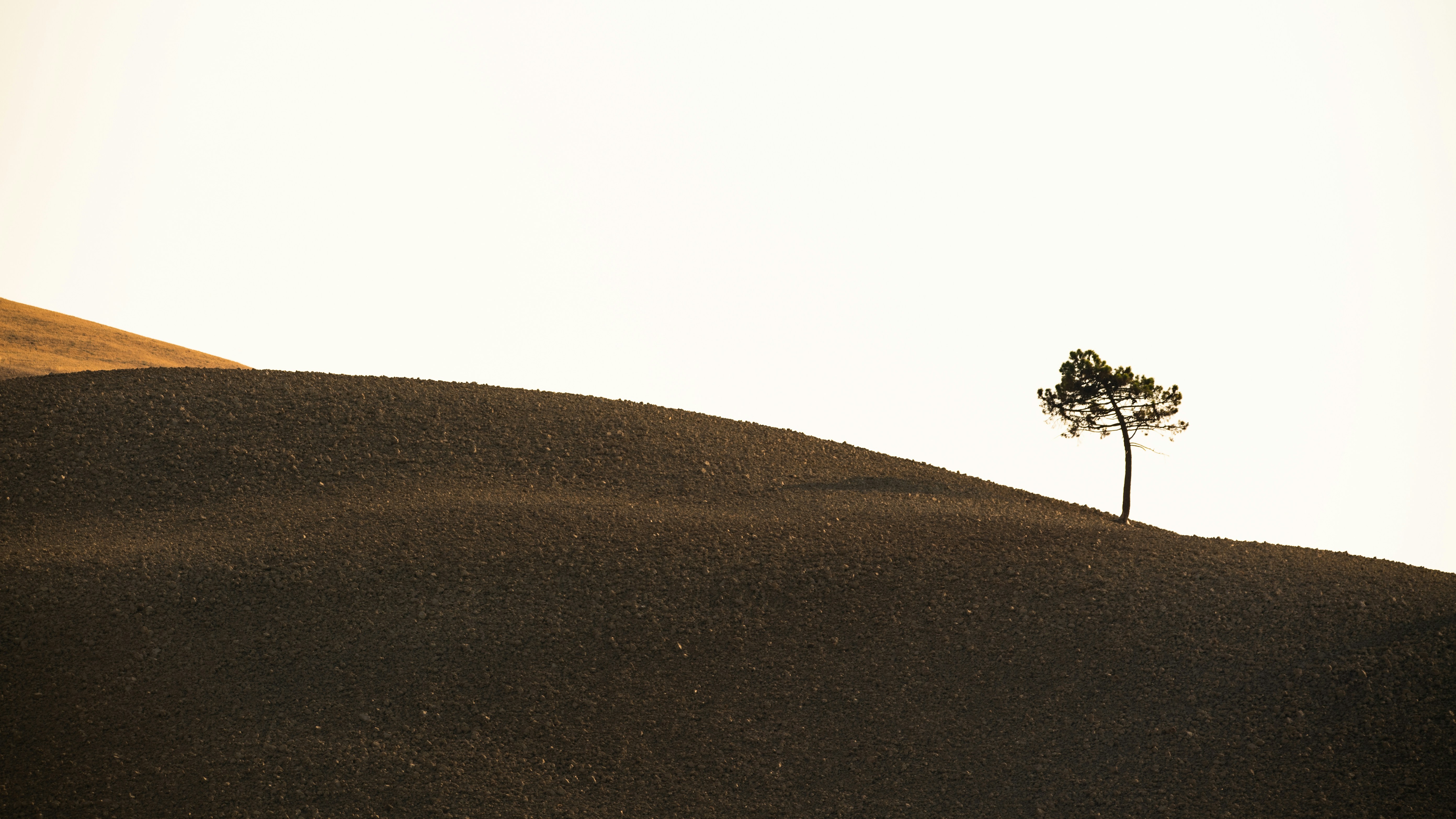 地震後重塑愛巢！3個設計巧思讓家更安全