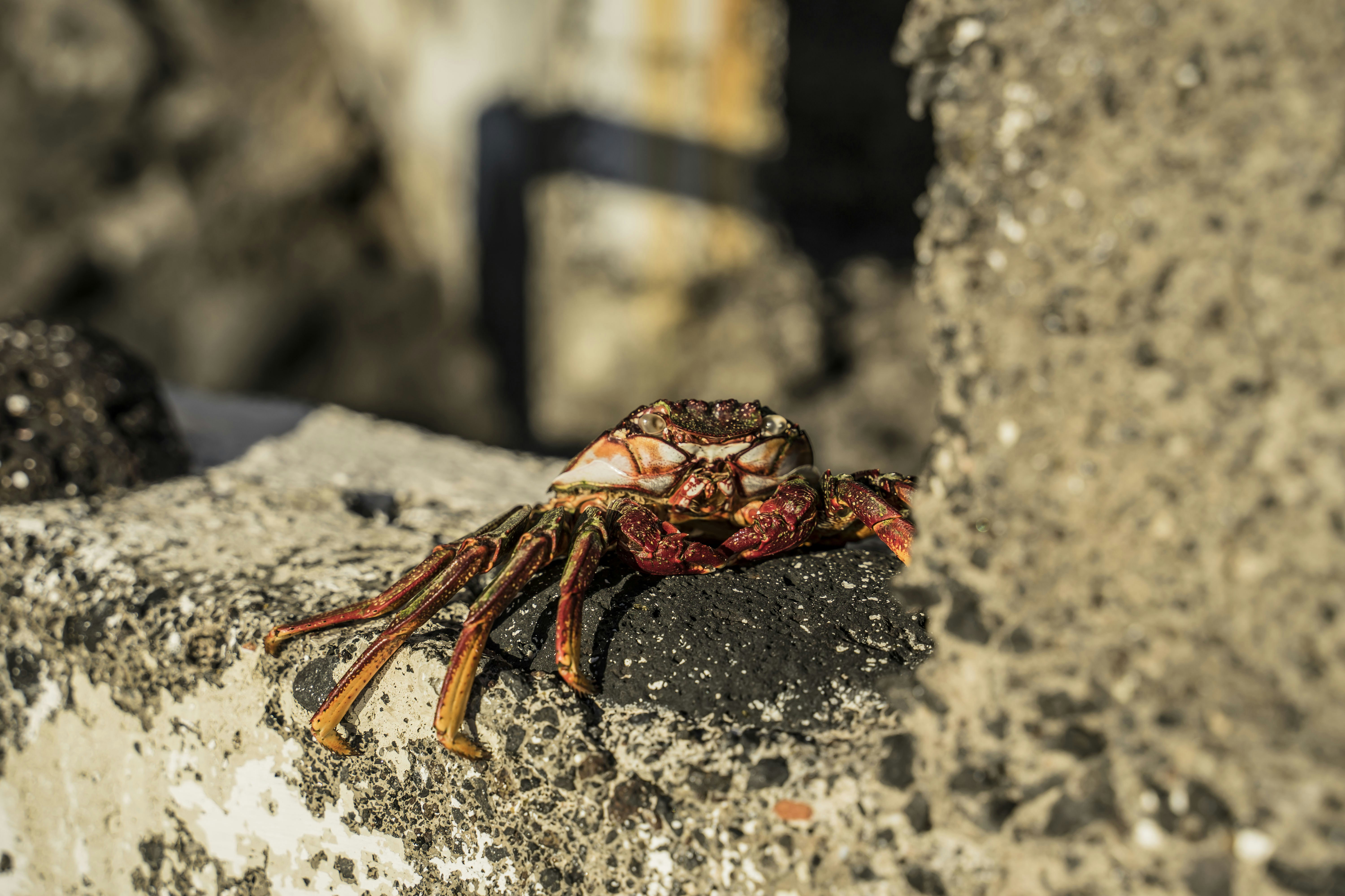 The 50+ Best Crap Jokes Worst Jokes Ever